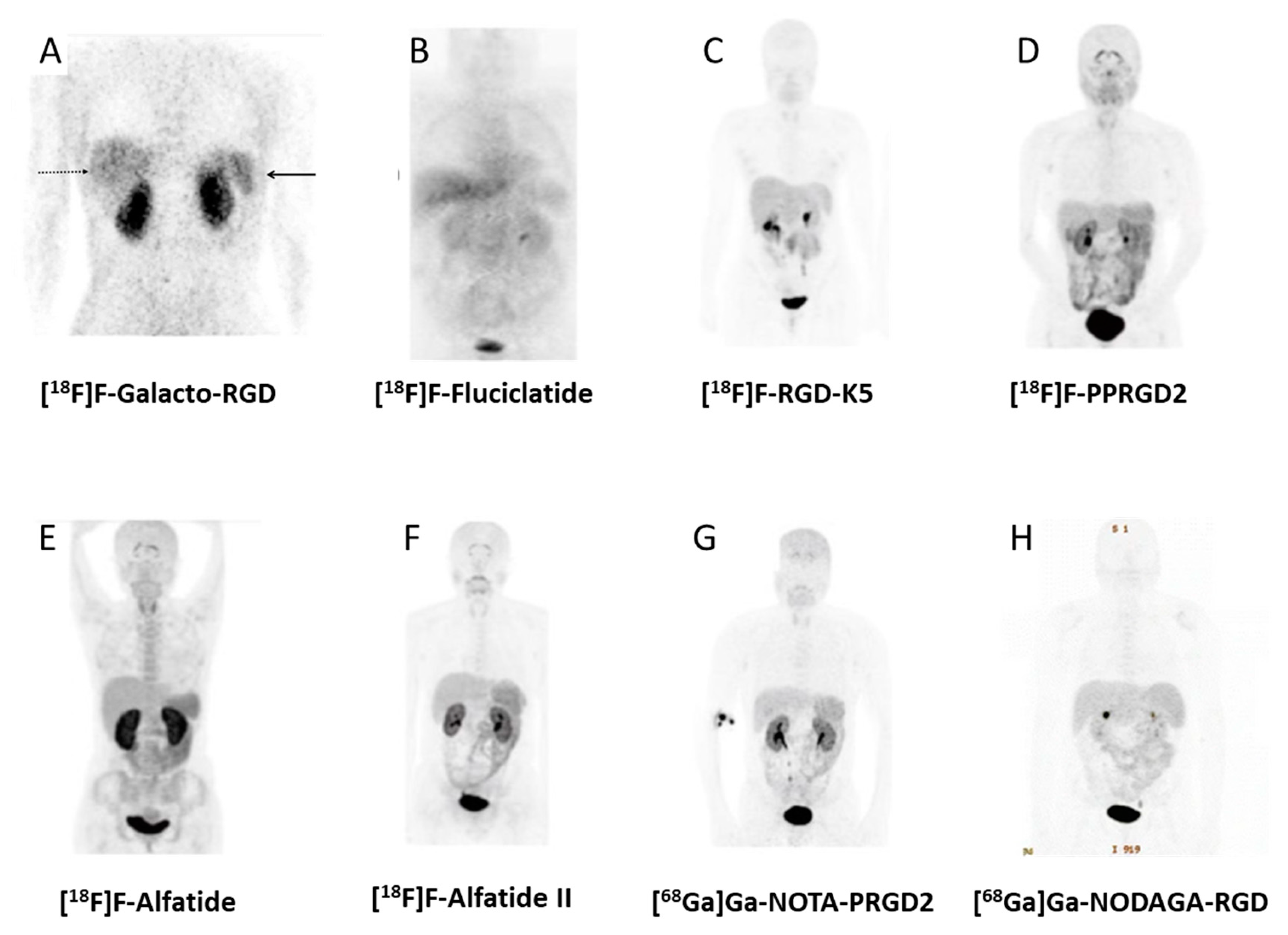 Pharmaceuticals 13 00022 g003 Pharmaceuticals 13 00022 g003