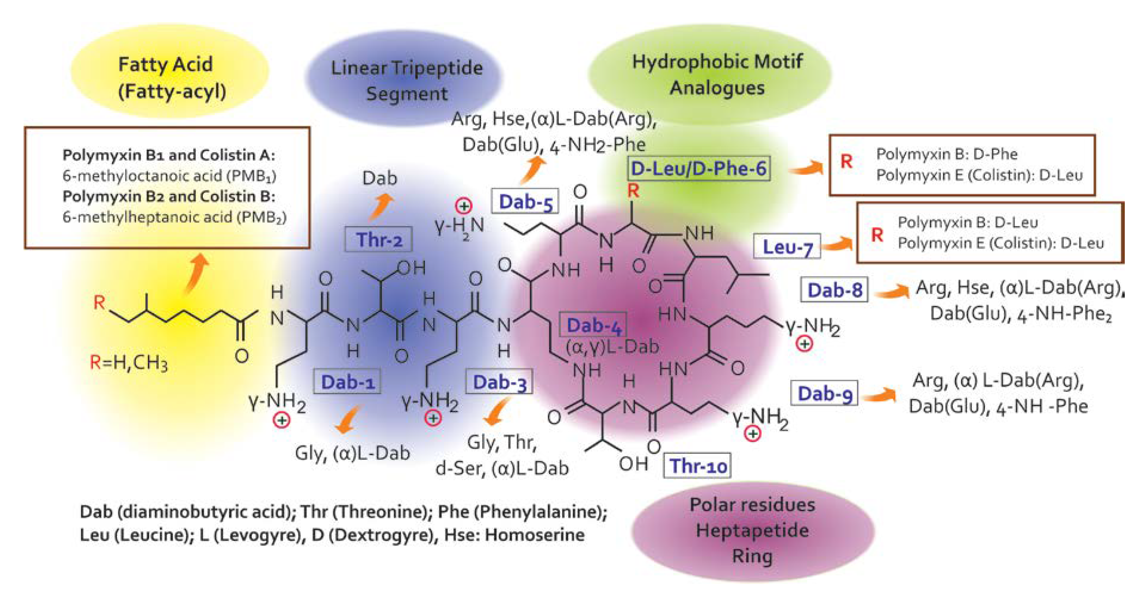 Pharmaceuticals 13 00042 g002