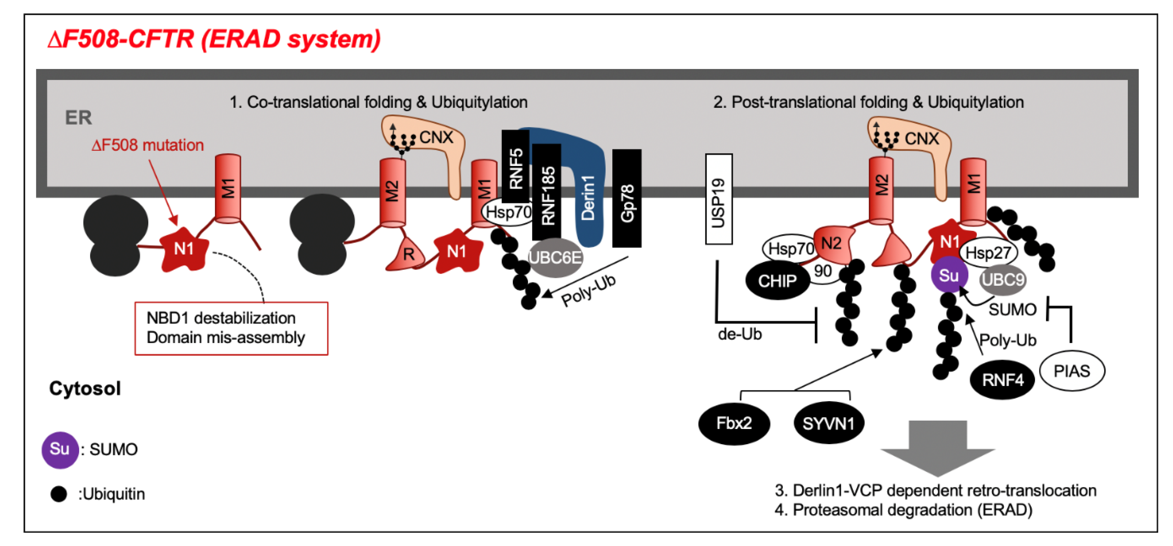 Pharmaceuticals 13 00075 g002 Pharmaceuticals 13 00075 g002
