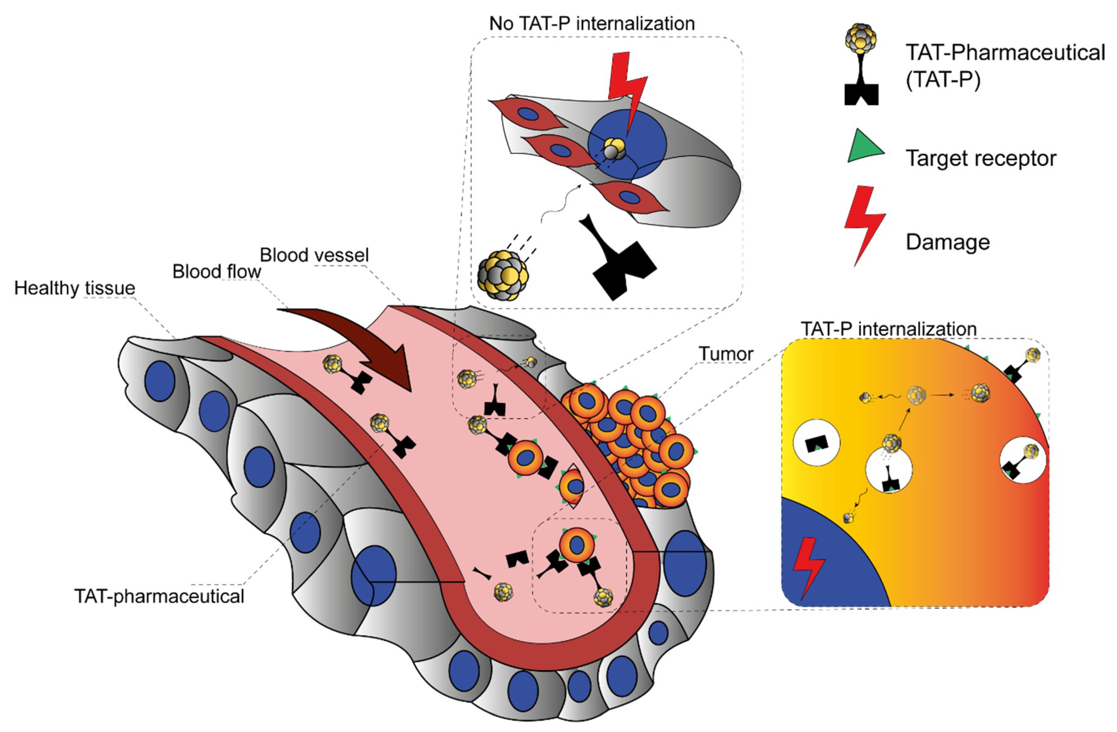 Pharmaceuticals Free Full Text Atomic Nanogenerators In Targeted Alpha Therapies Curie S Legacy In Modern Cancer Management Html