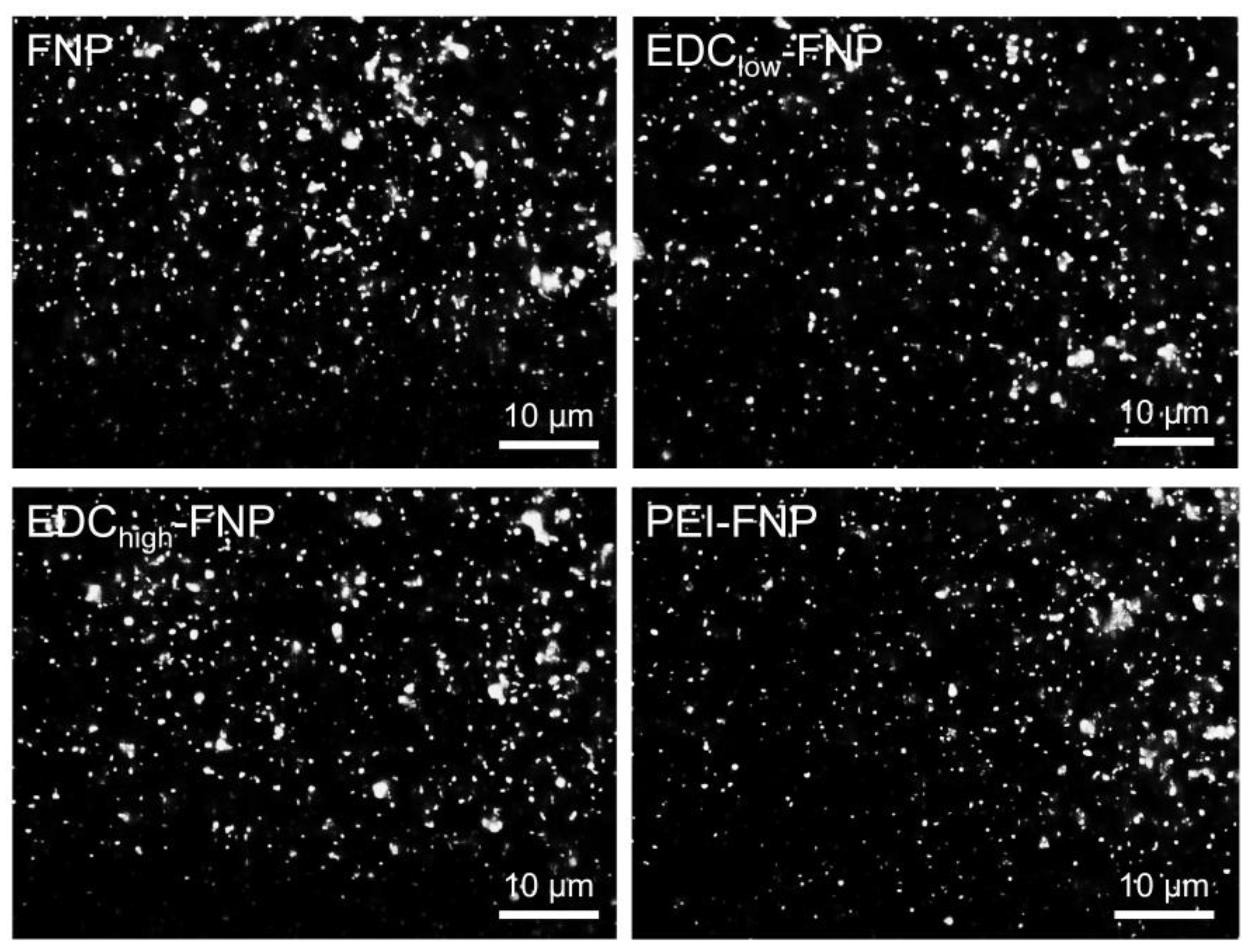 Pharmaceuticals 13 00086 g001 Pharmaceuticals 13 00086 g001