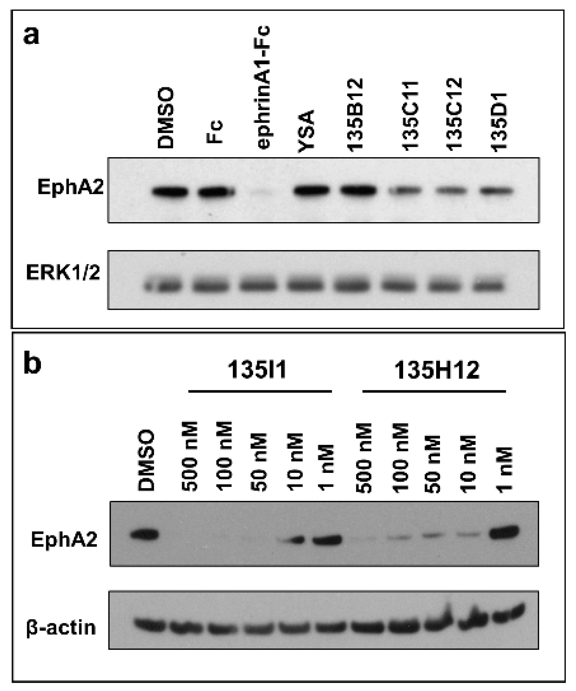 Pharmaceuticals 13 00090 g003