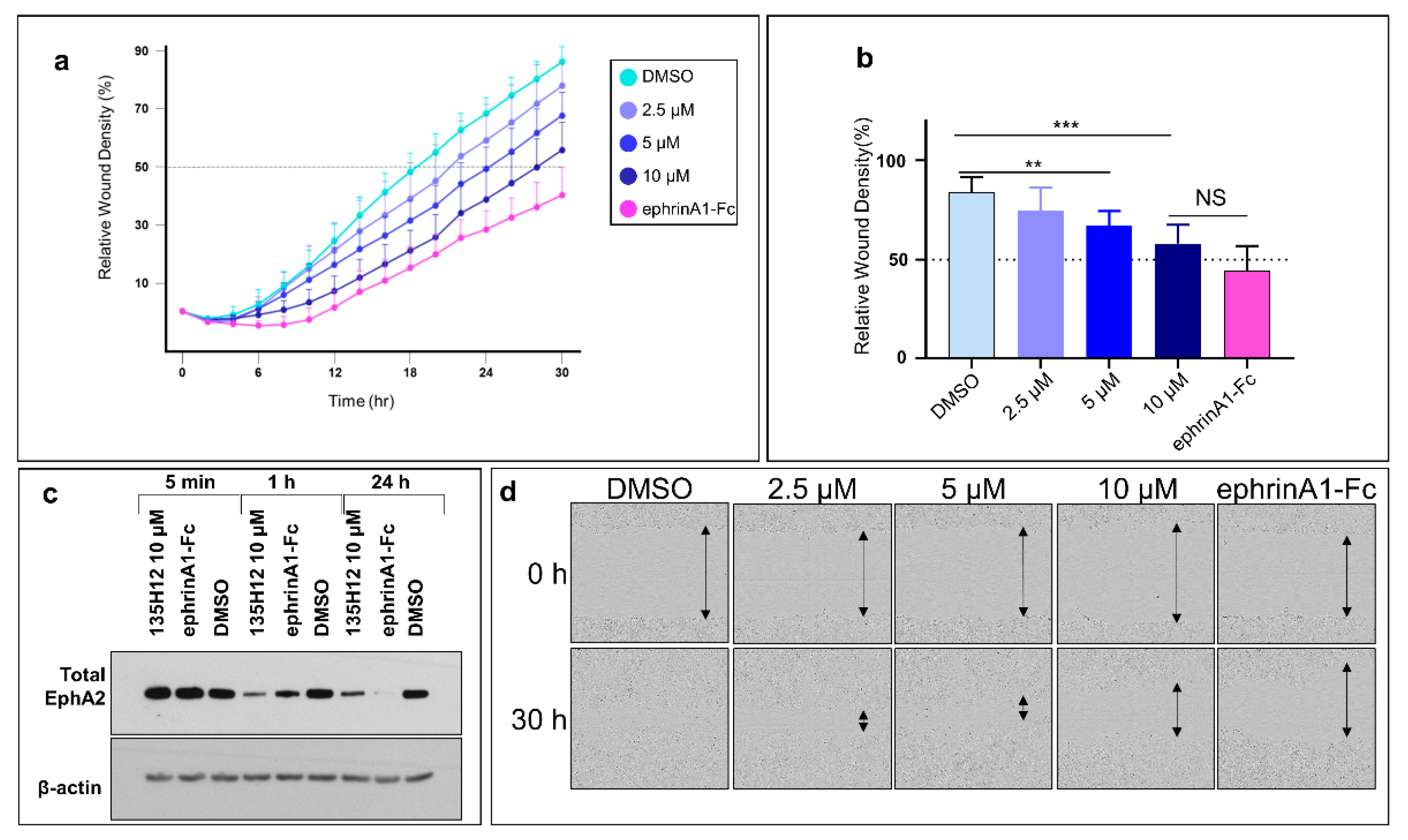 Pharmaceuticals 13 00090 g005