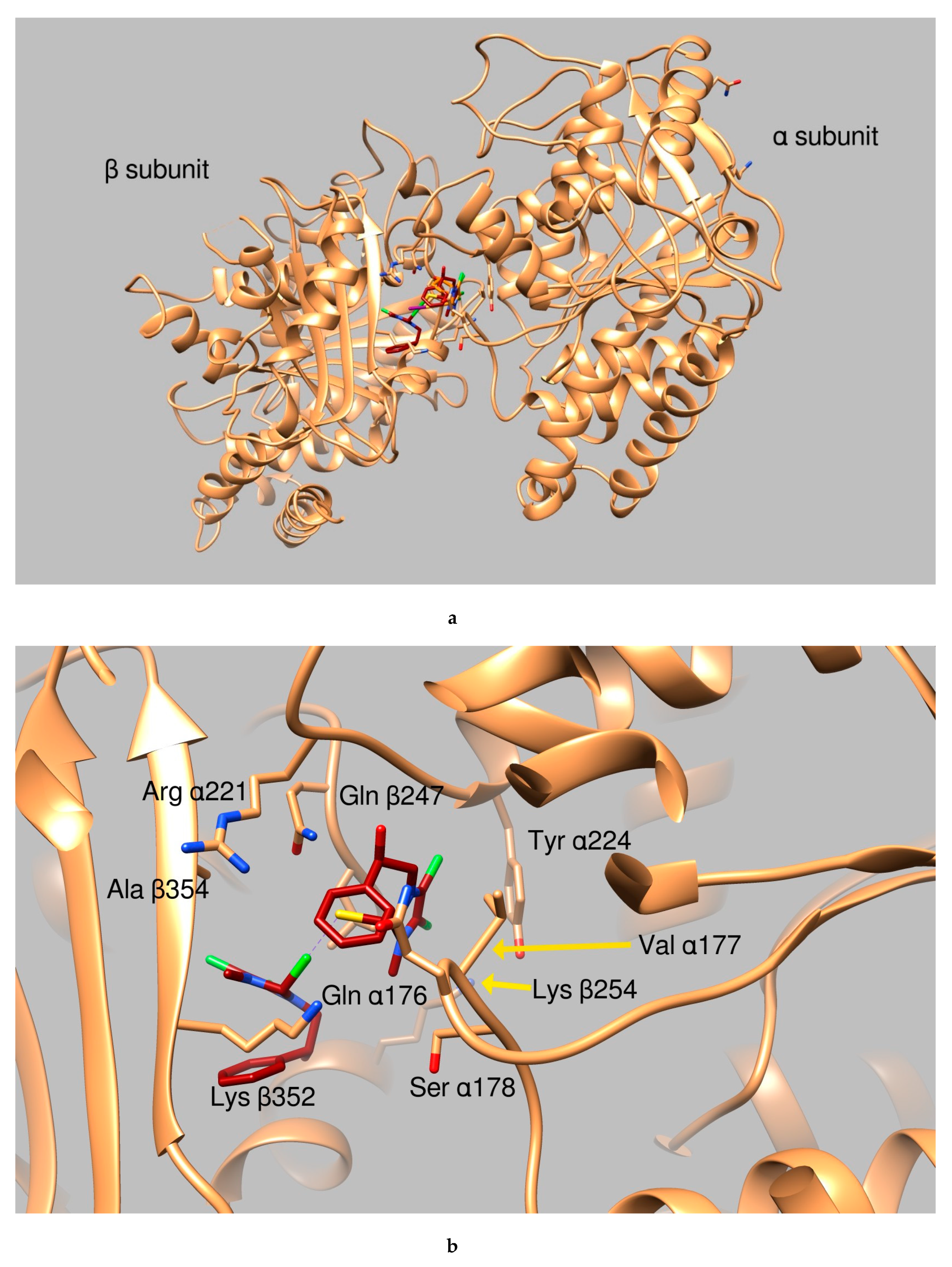 Pharmaceuticals 13 00091 g003a Pharmaceuticals 13 00091 g003a