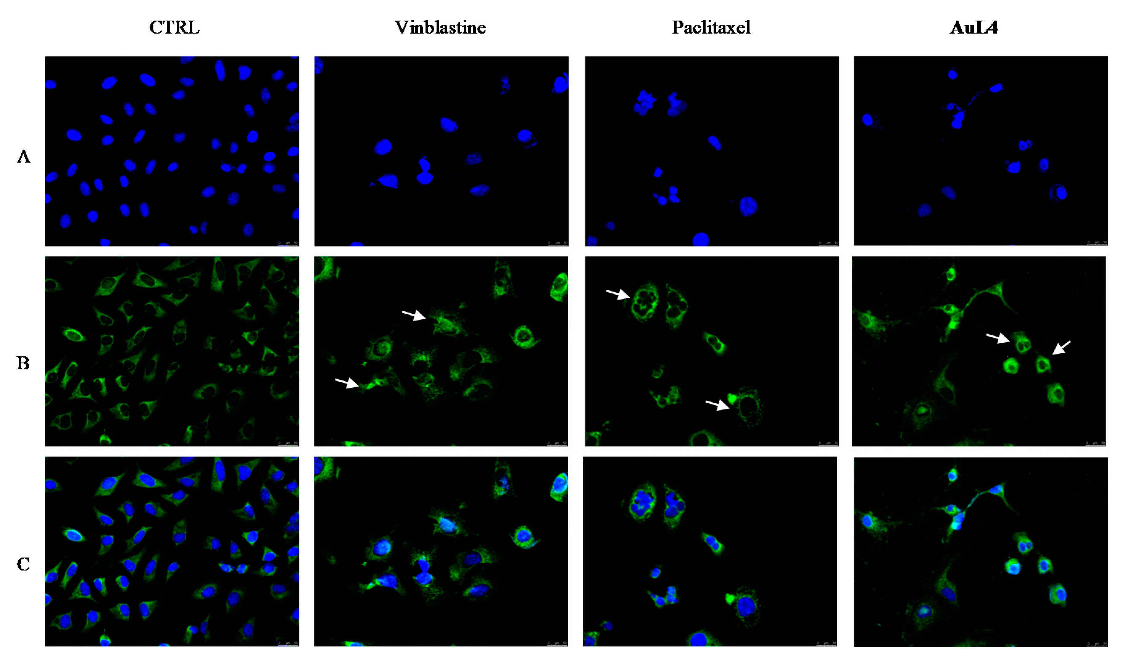 Pharmaceuticals 13 00091 g006 Pharmaceuticals 13 00091 g006