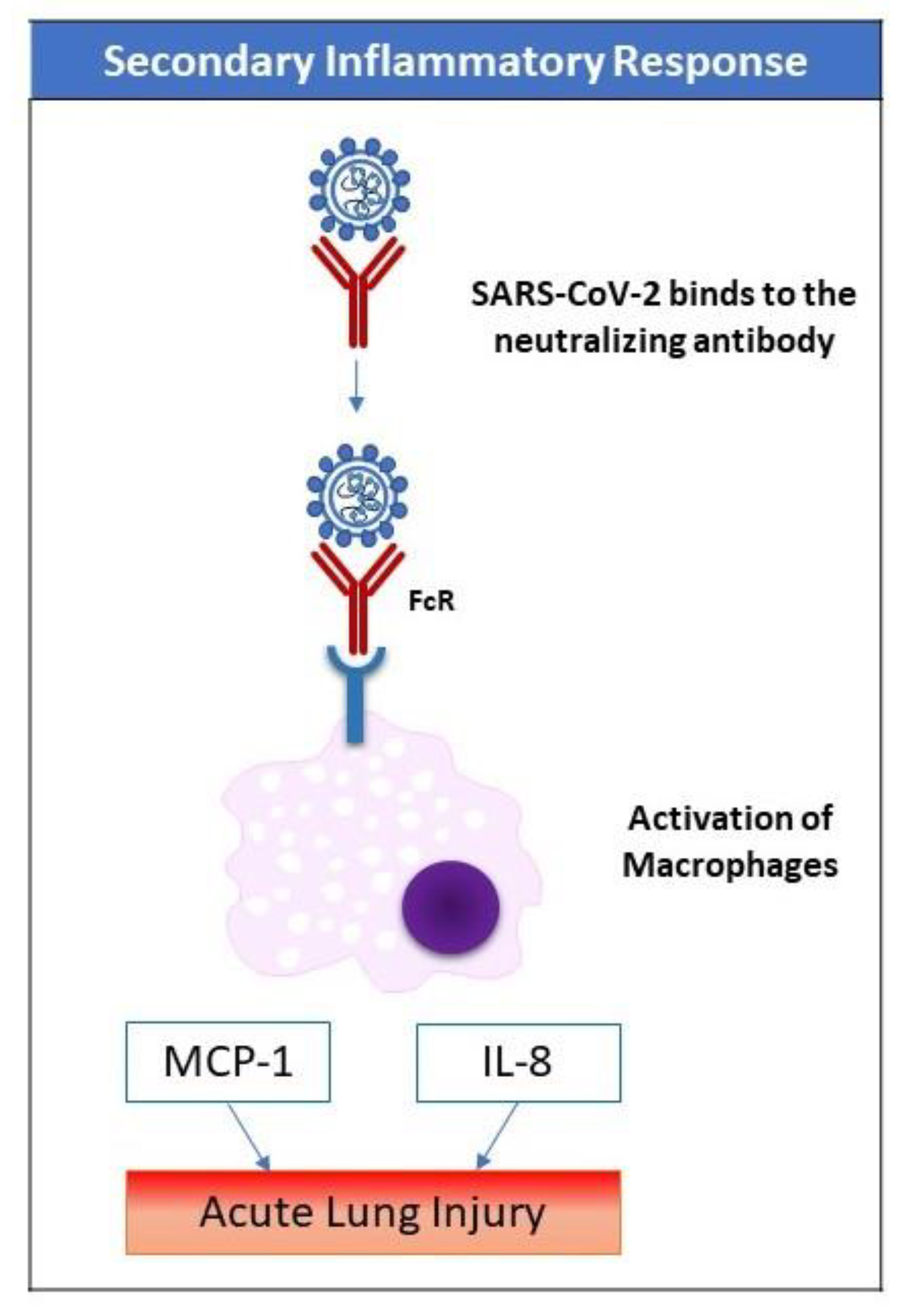 Pharmaceuticals 13 00096 g002 Pharmaceuticals 13 00096 g002