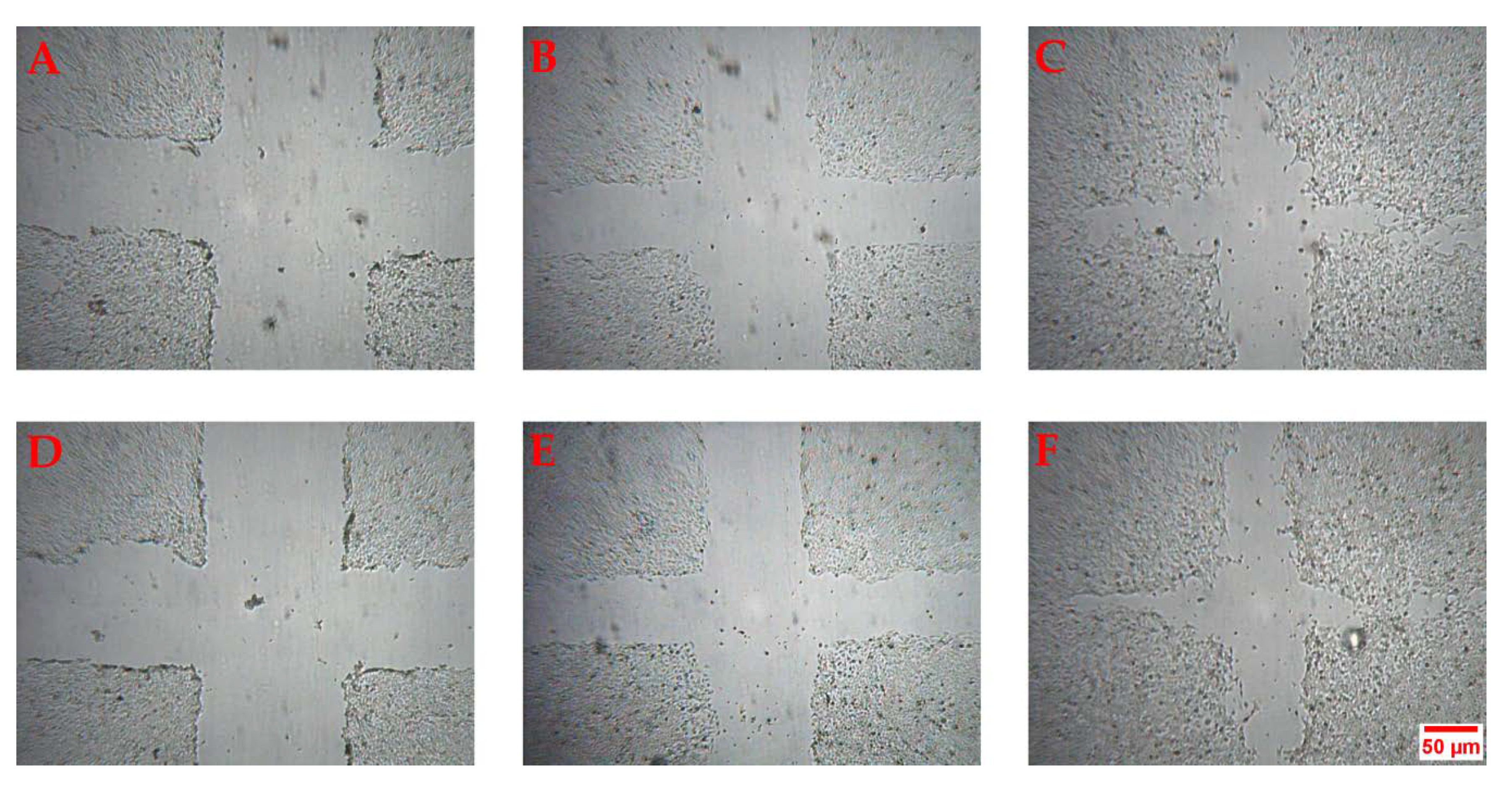 Pharmaceuticals 13 00097 g003 Pharmaceuticals 13 00097 g003