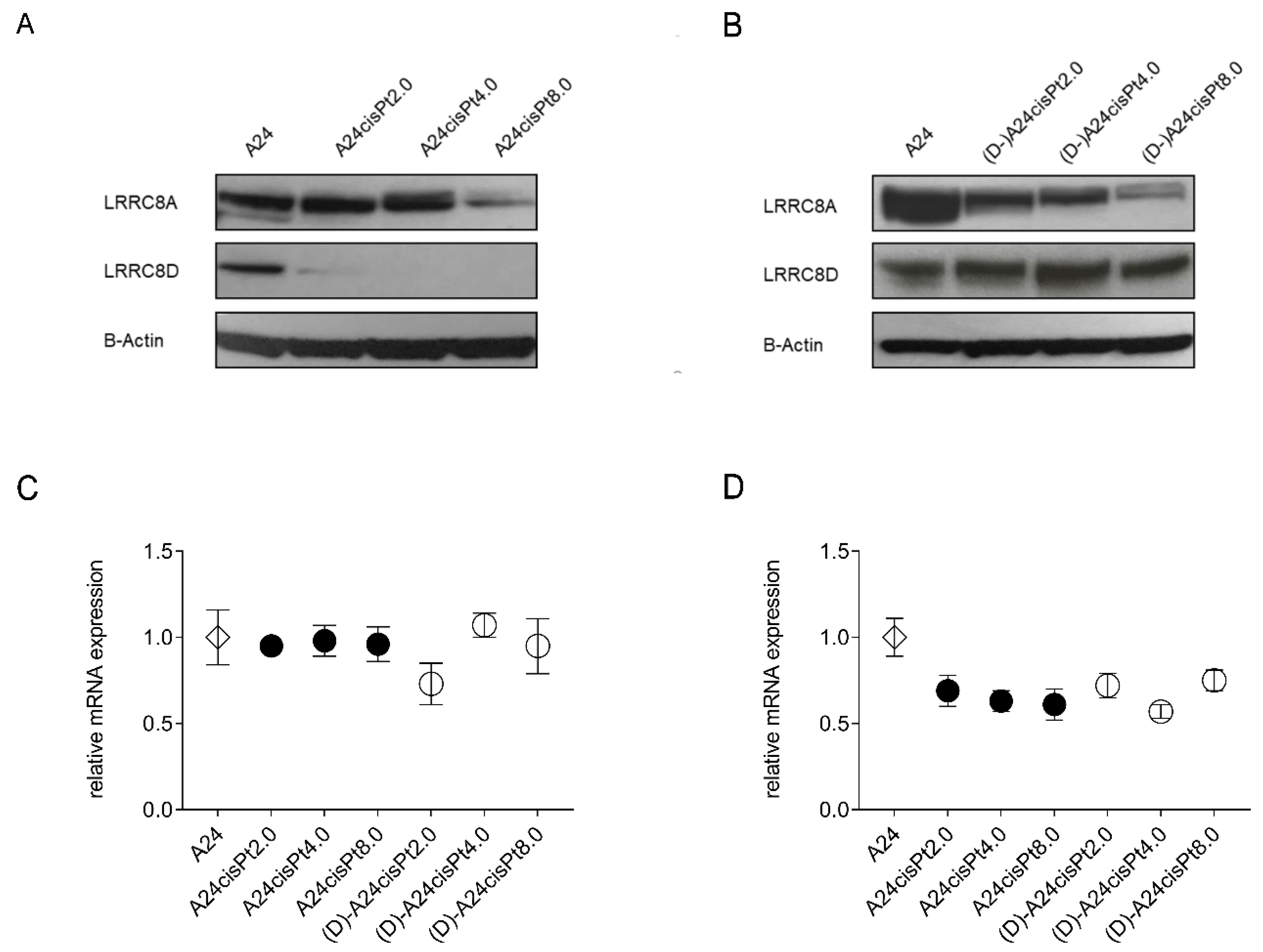 Pharmaceuticals 13 00109 g006 Pharmaceuticals 13 00109 g006