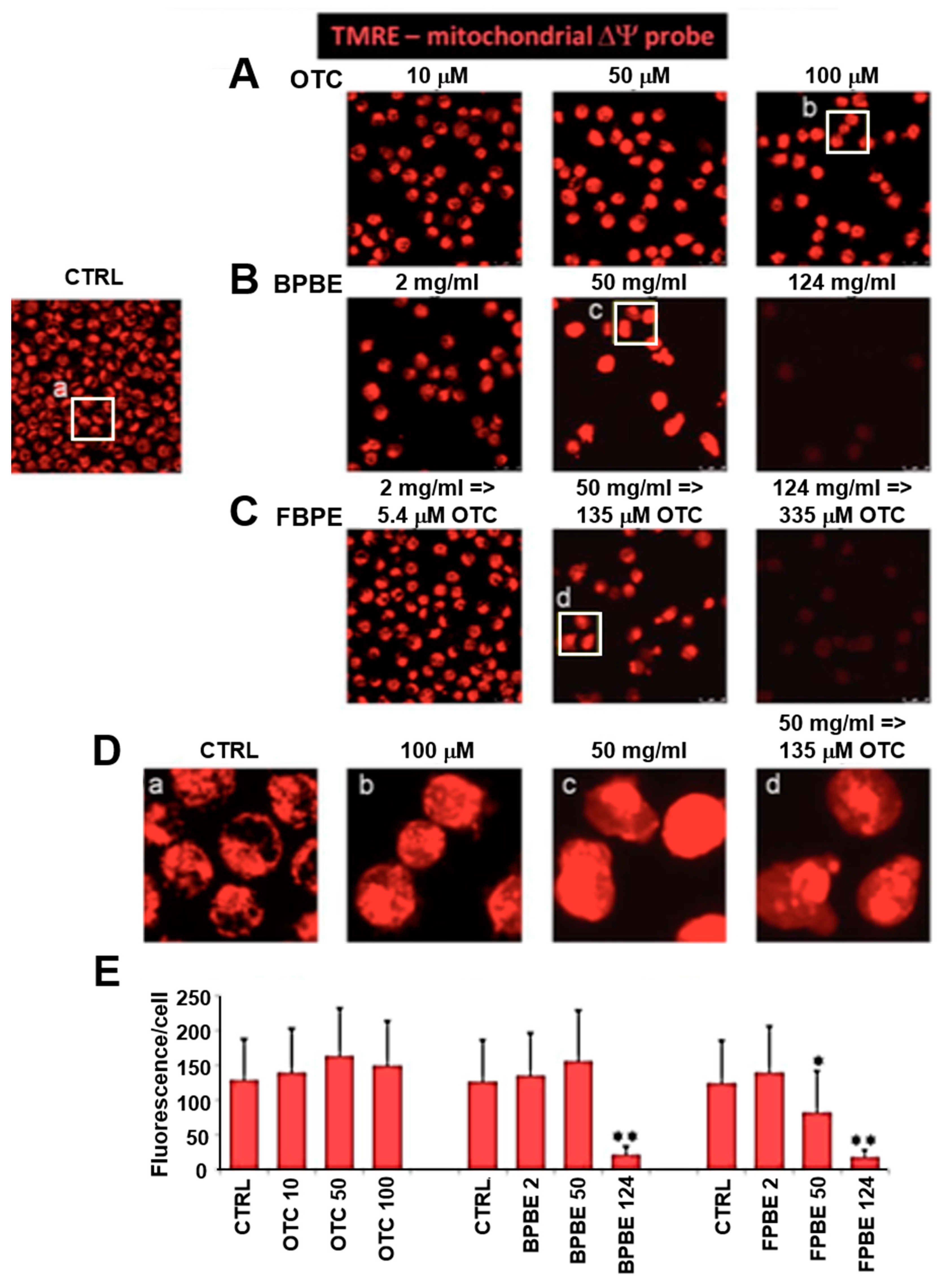 Pharmaceuticals 13 00114 g004 Pharmaceuticals 13 00114 g004