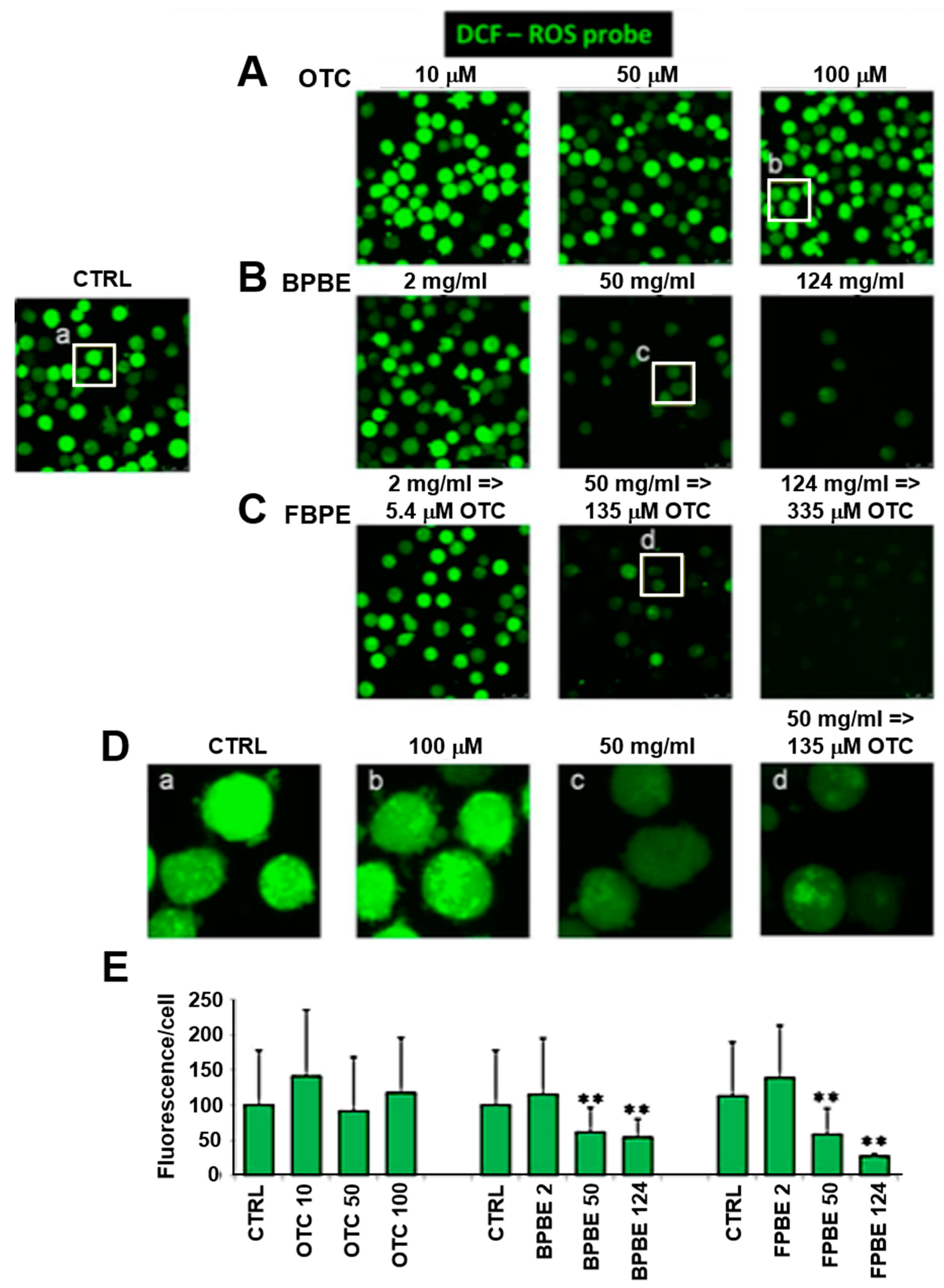 Pharmaceuticals 13 00114 g005 Pharmaceuticals 13 00114 g005