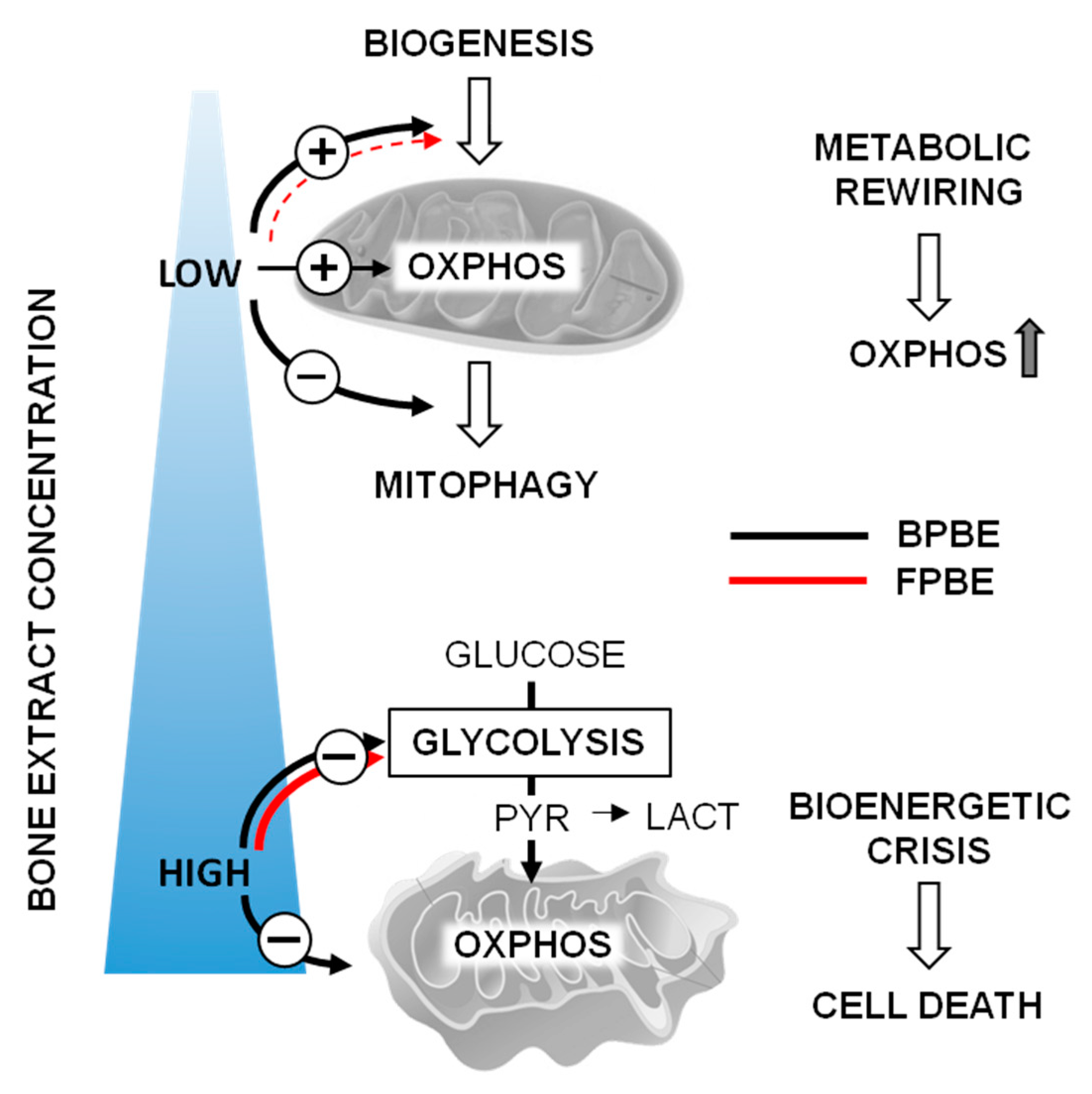 Pharmaceuticals 13 00114 g007 Pharmaceuticals 13 00114 g007