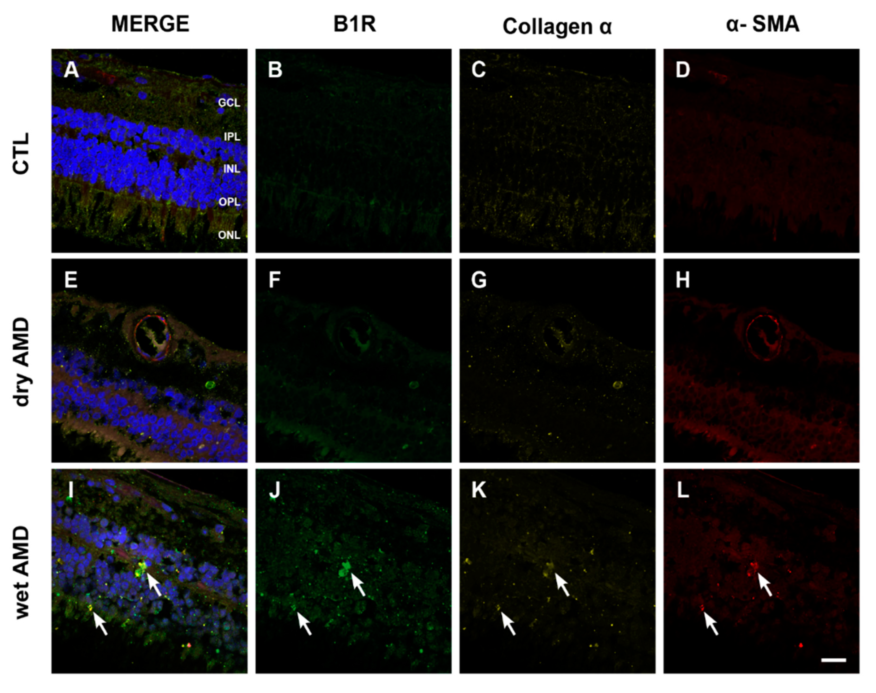 Pharmaceuticals 13 00130 g007 Pharmaceuticals 13 00130 g007