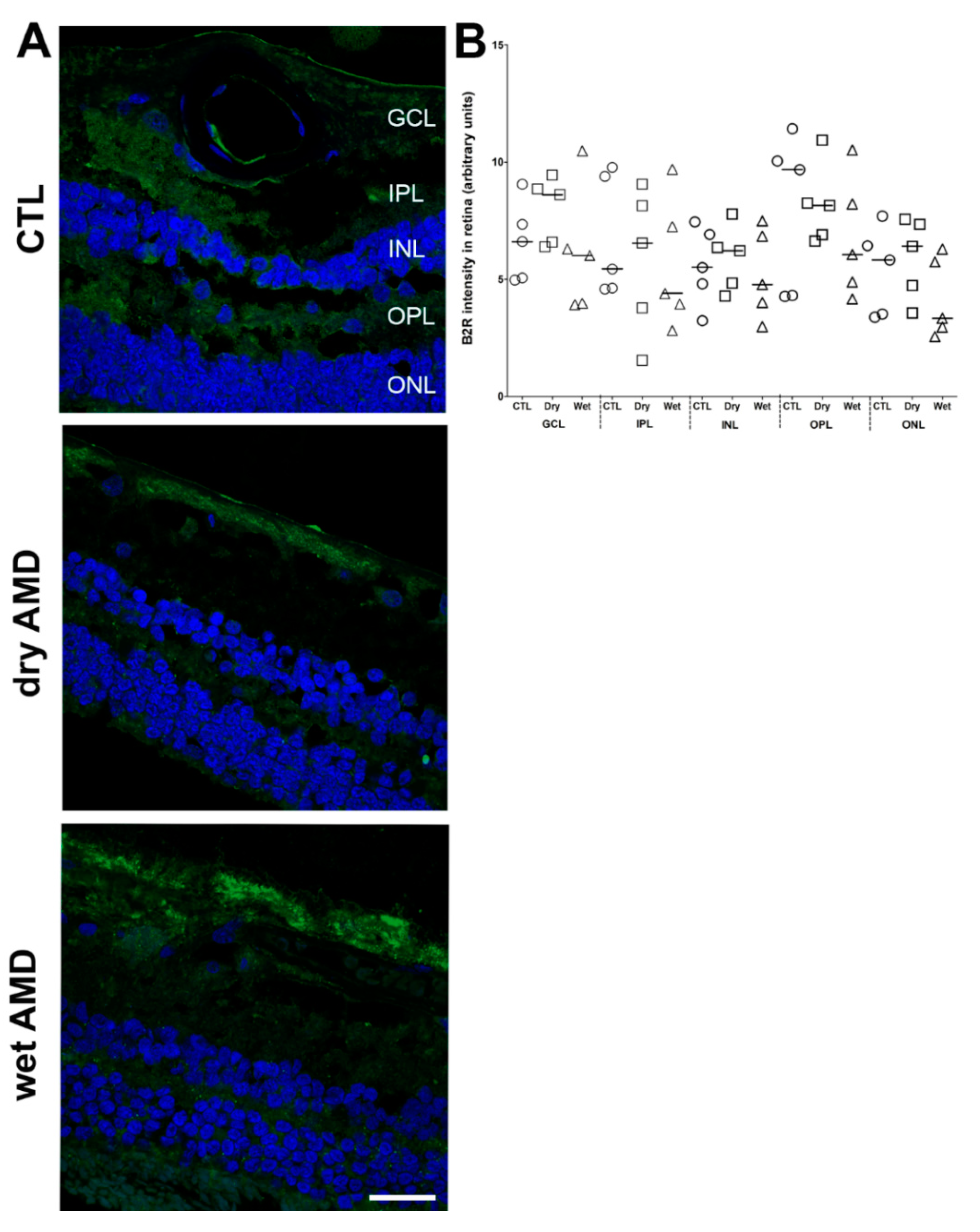 Pharmaceuticals 13 00130 g008 Pharmaceuticals 13 00130 g008