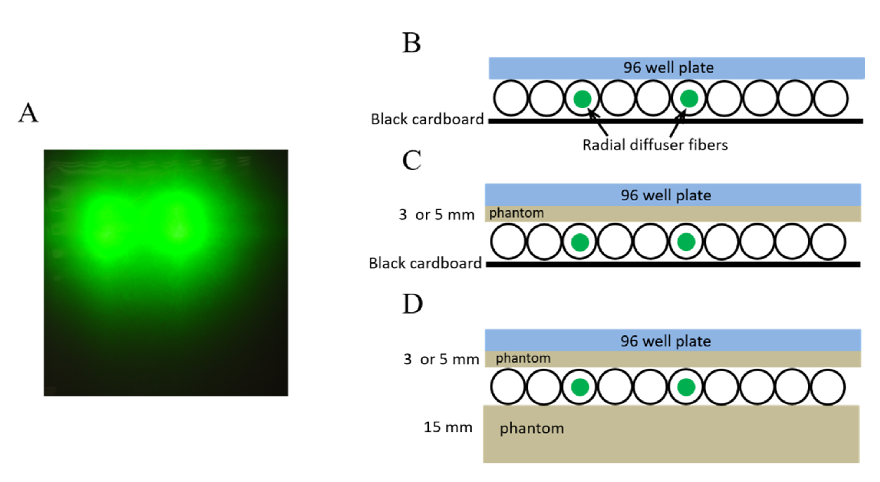 Pharmaceuticals 13 00137 g003