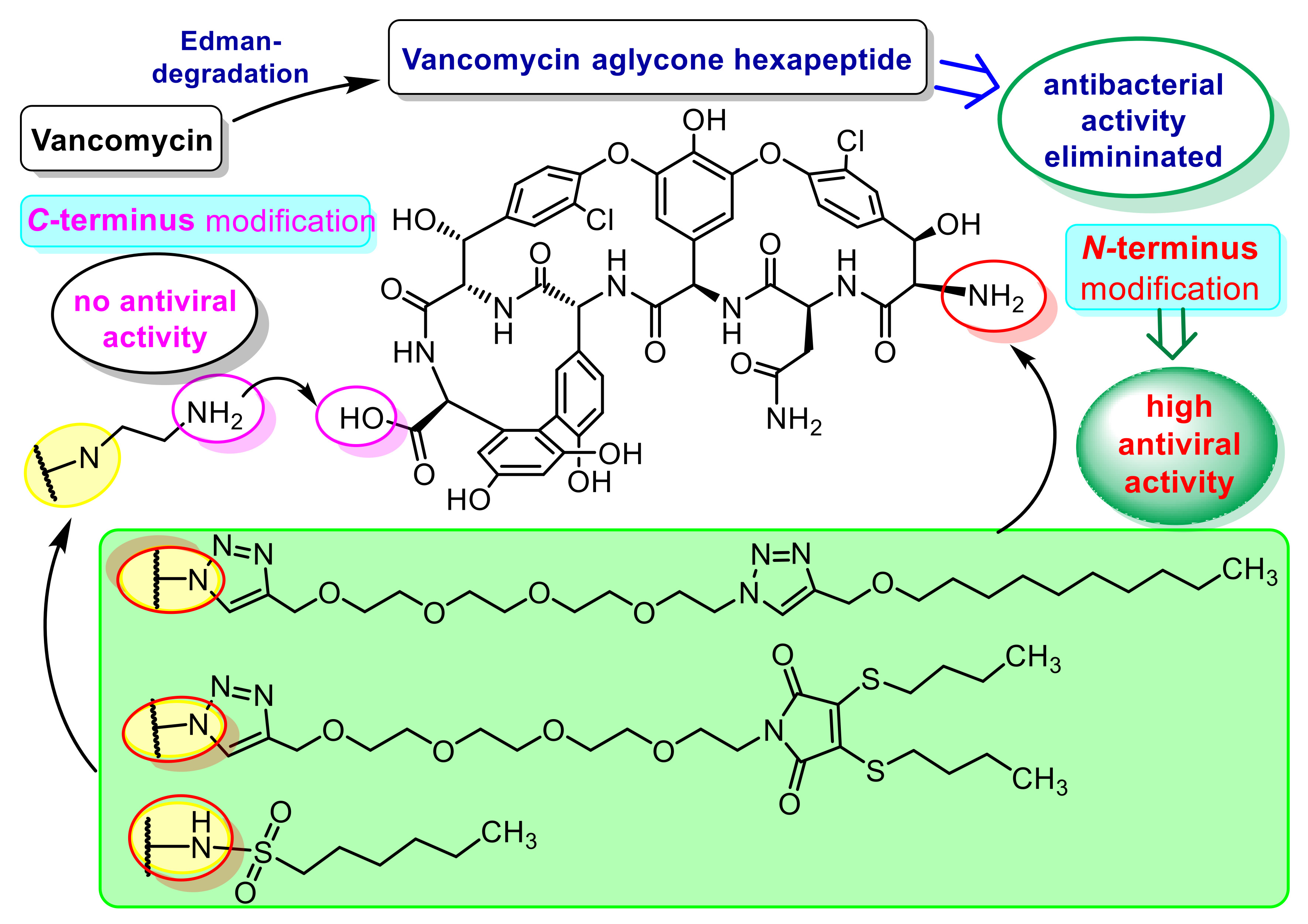 Pharmaceuticals Free Full Text Reprogramming Of The Antibacterial Drug Vancomycin Results In Potent Antiviral Agents Devoid Of Antibacterial Activity Html Pharmaceuticals Free Full Text Reprogramming Of The Antibacterial Drug Vancomycin Results In Potent Antiviral Agents Devoid Of Antibacterial Activity Html
