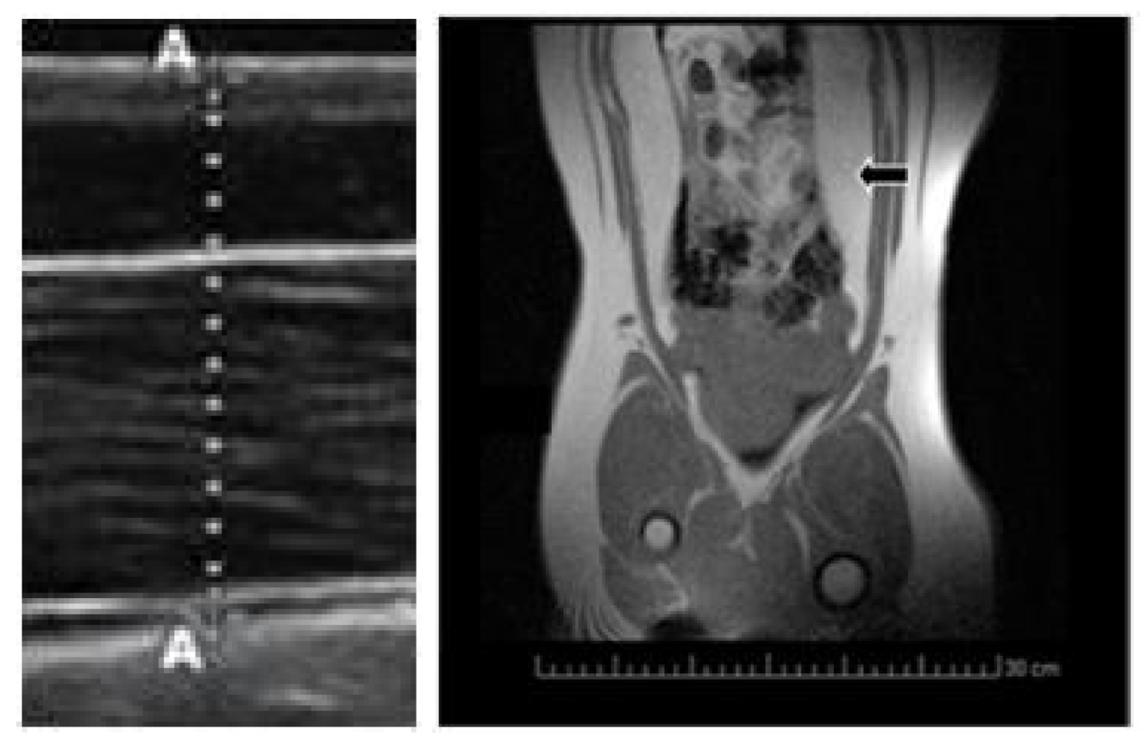 Pharmaceuticals 13 00142 g003 Pharmaceuticals 13 00142 g003