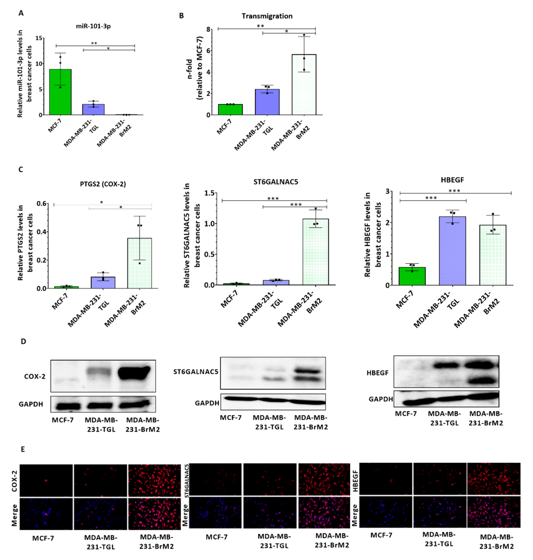 Pharmaceuticals 13 00144 g001 Pharmaceuticals 13 00144 g001