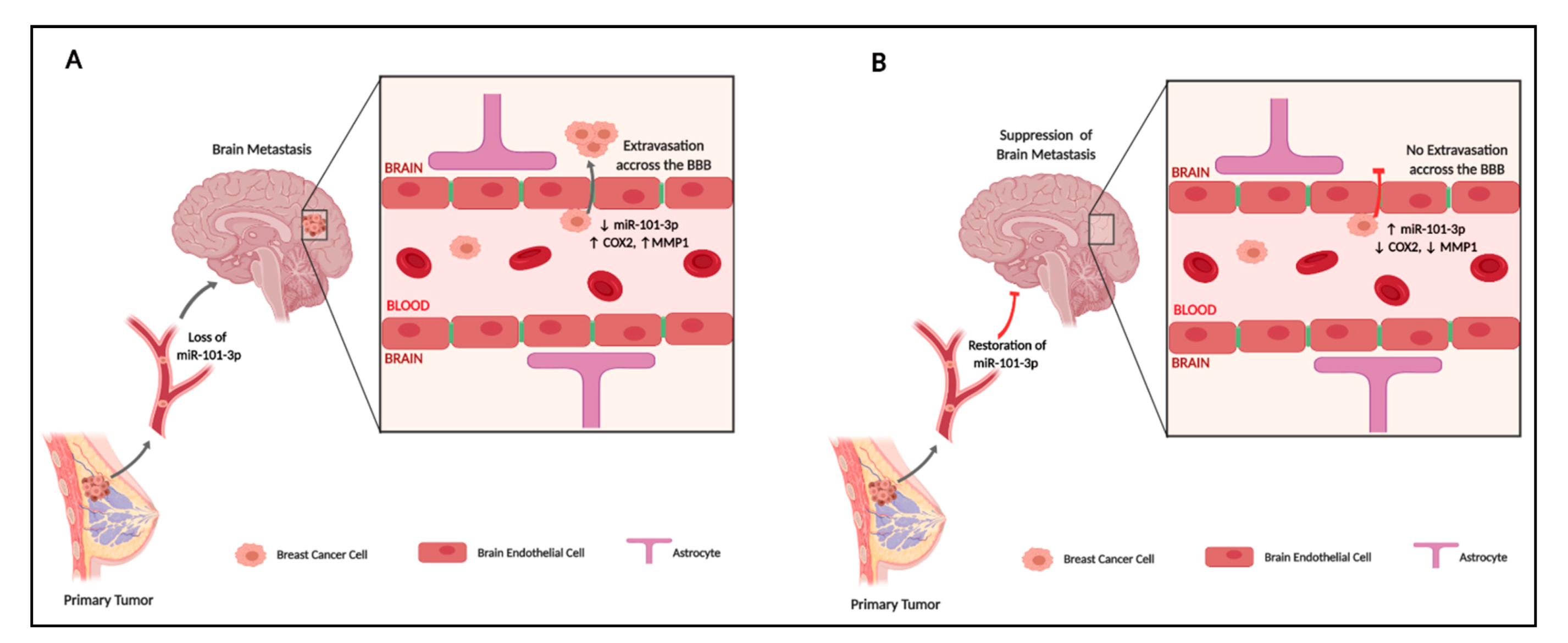 Pharmaceuticals 13 00144 g008 Pharmaceuticals 13 00144 g008