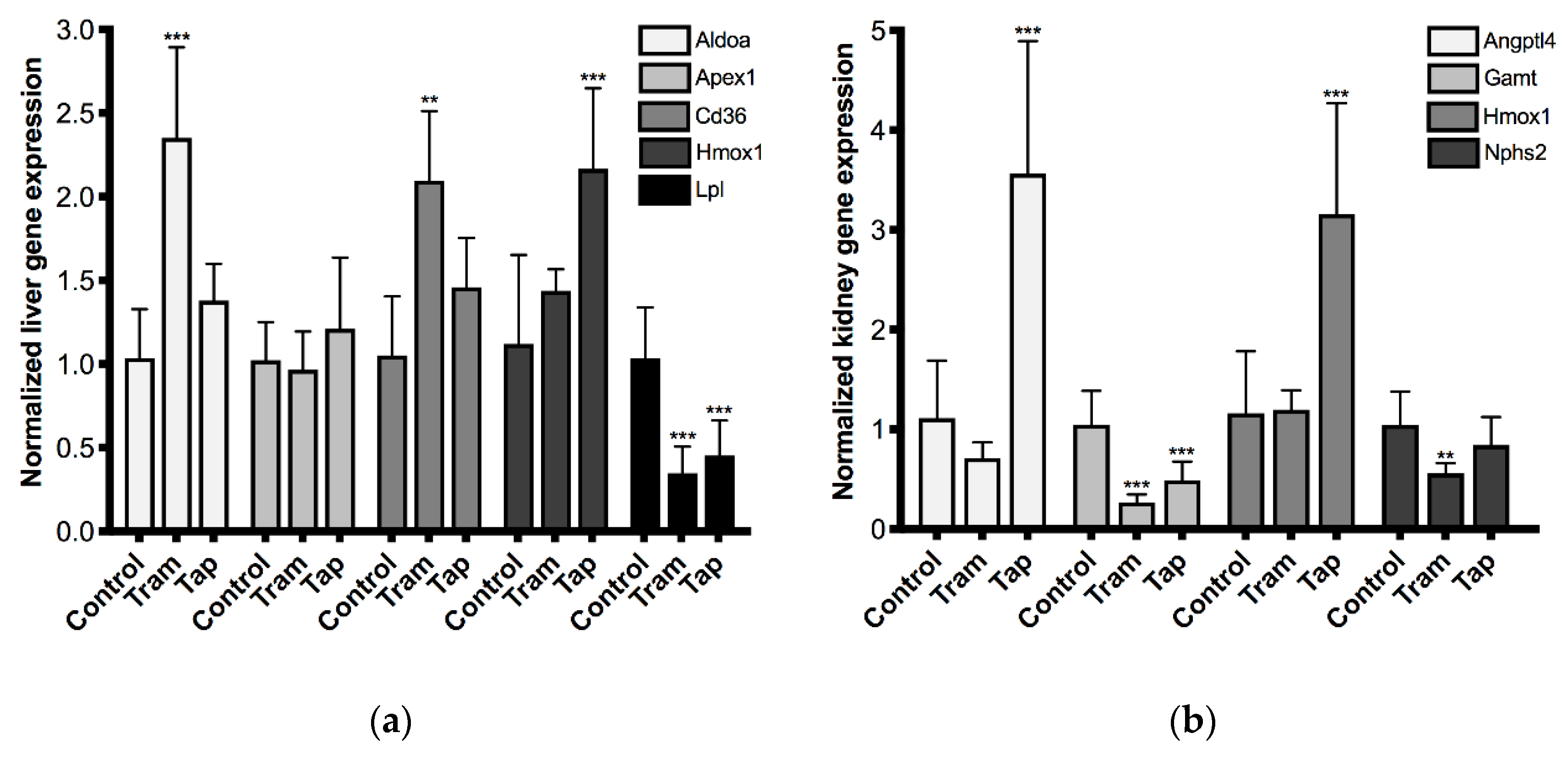 Pharmaceuticals Free Full Text Repeated Administration Of Clinical Doses Of Tramadol And Tapentadol Causes Hepato And Nephrotoxic Effects In Wistar Rats Html Pharmaceuticals Free Full Text Repeated Administration Of Clinical Doses Of Tramadol And Tapentadol Causes Hepato And Nephrotoxic Effects In Wistar Rats Html