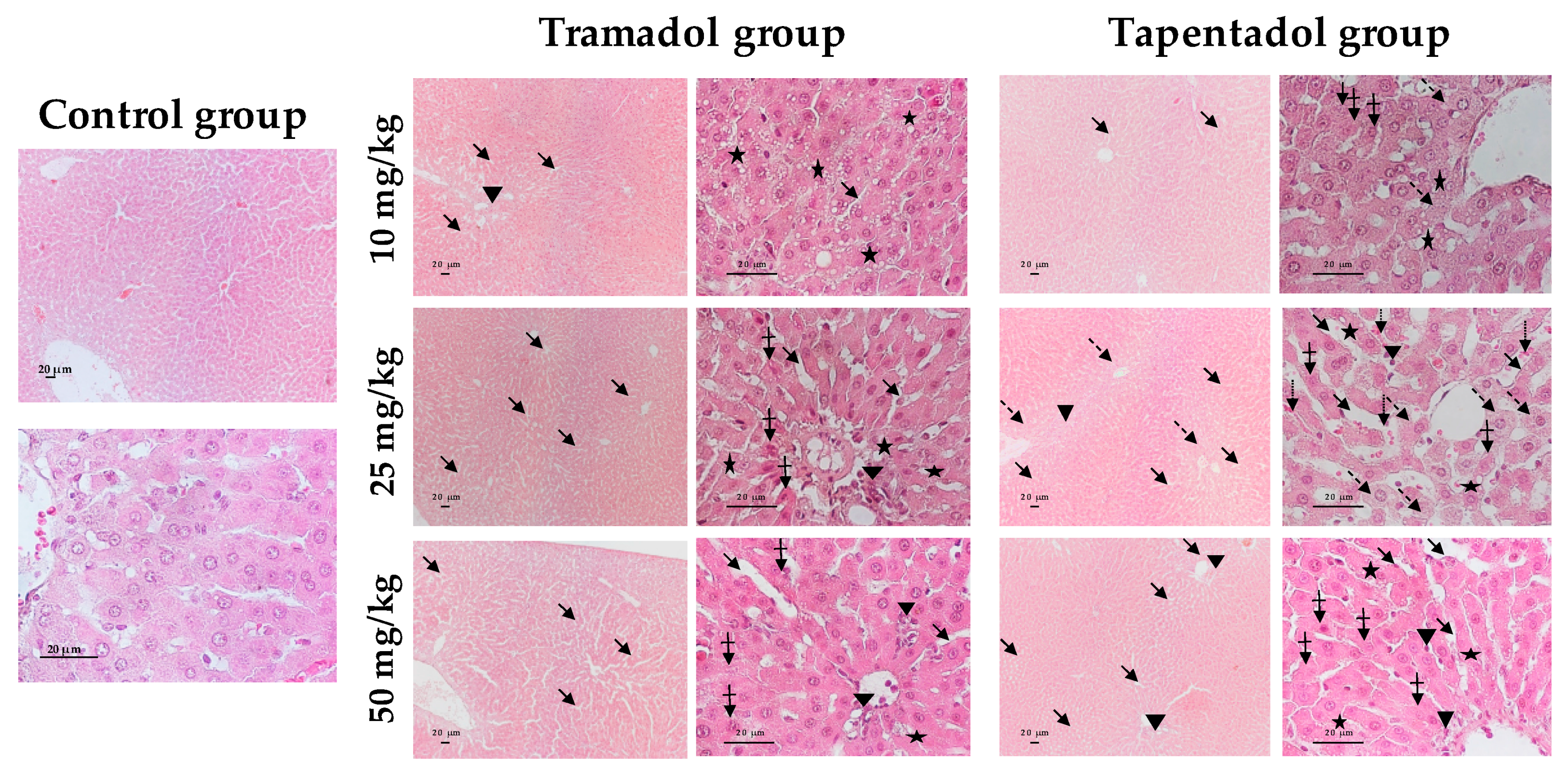 Pharmaceuticals 13 00149 g007 Pharmaceuticals 13 00149 g007