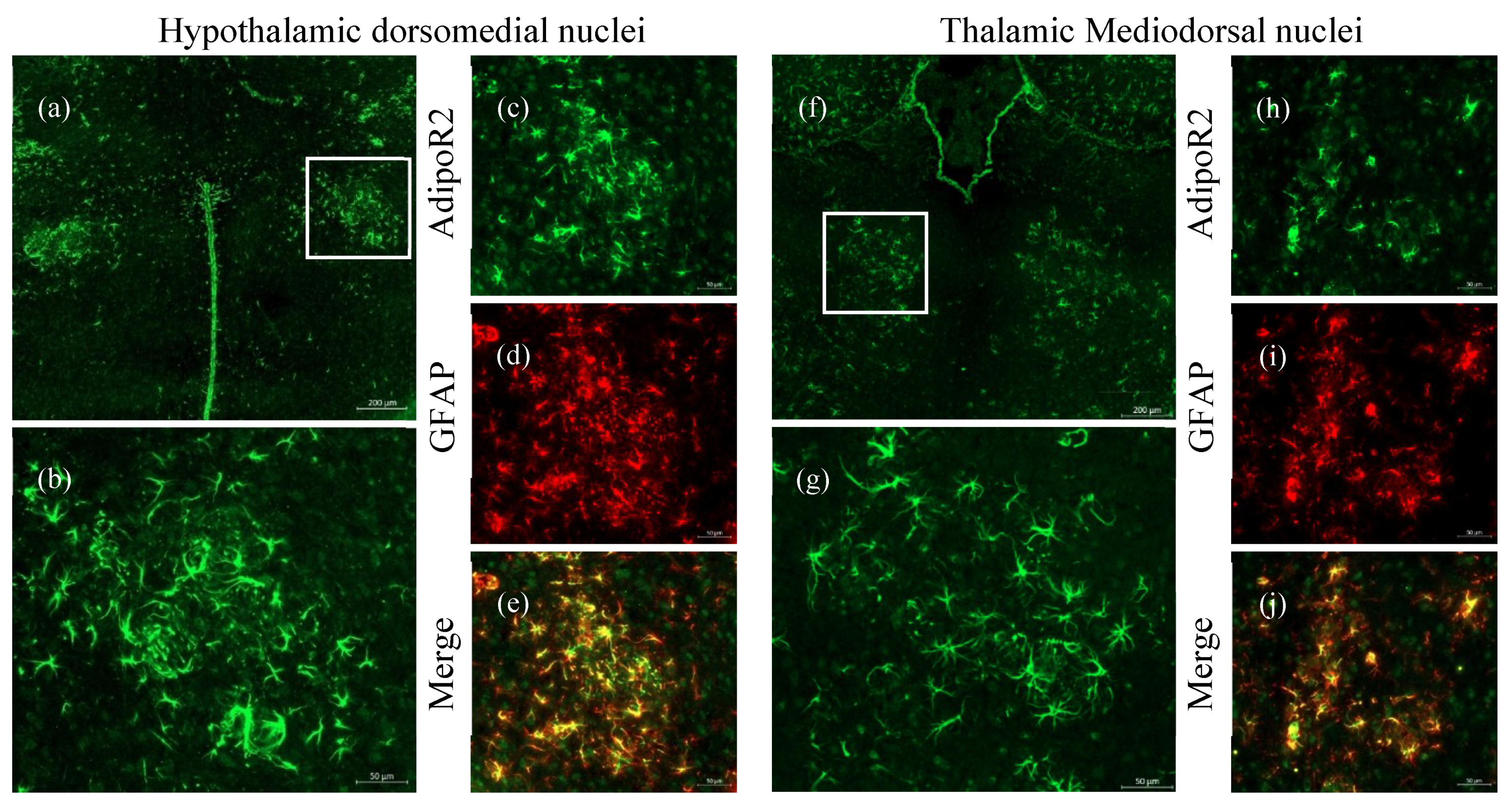 Pharmaceuticals 13 00150 g005 Pharmaceuticals 13 00150 g005