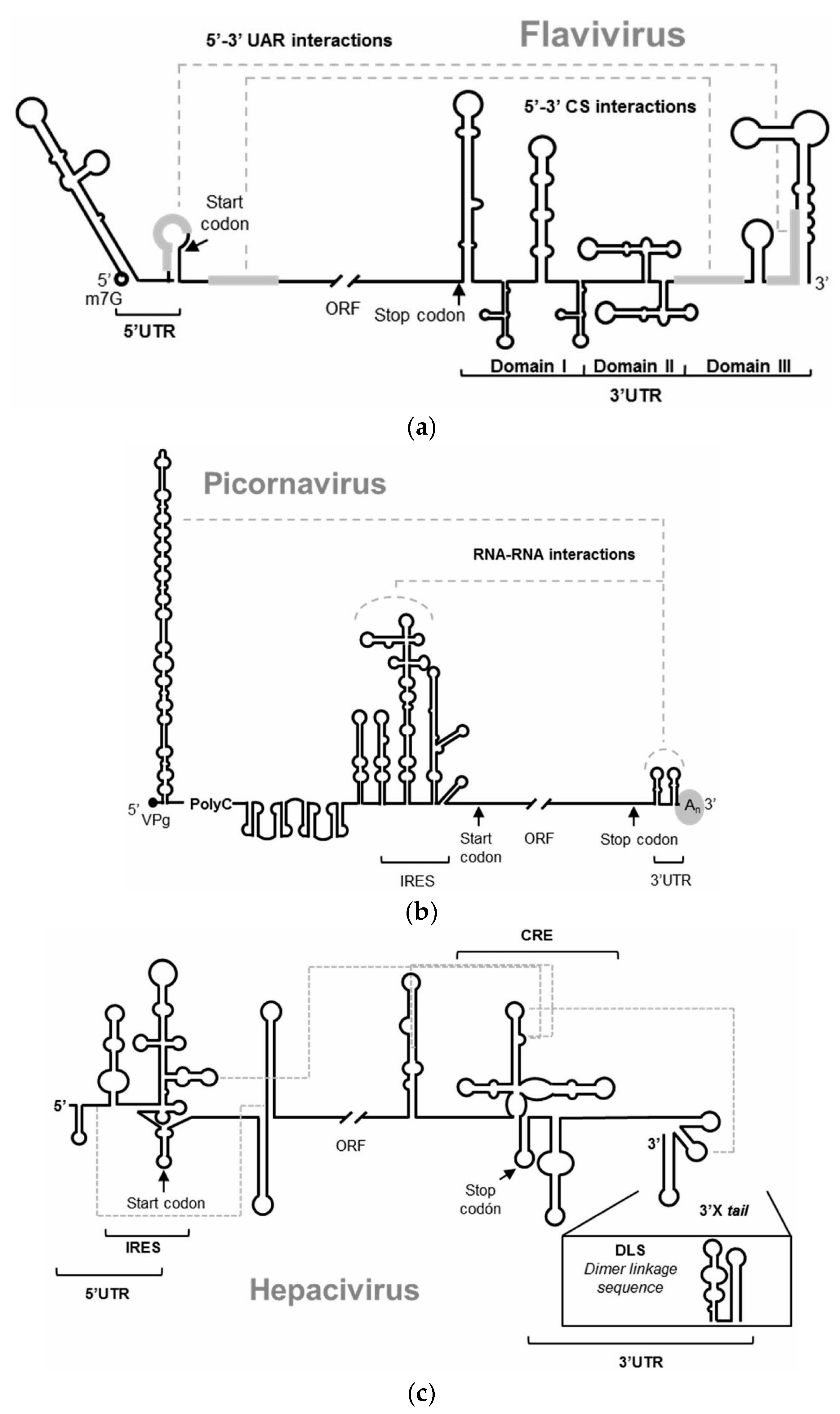 Pharmaceuticals 13 00157 g001 Pharmaceuticals 13 00157 g001