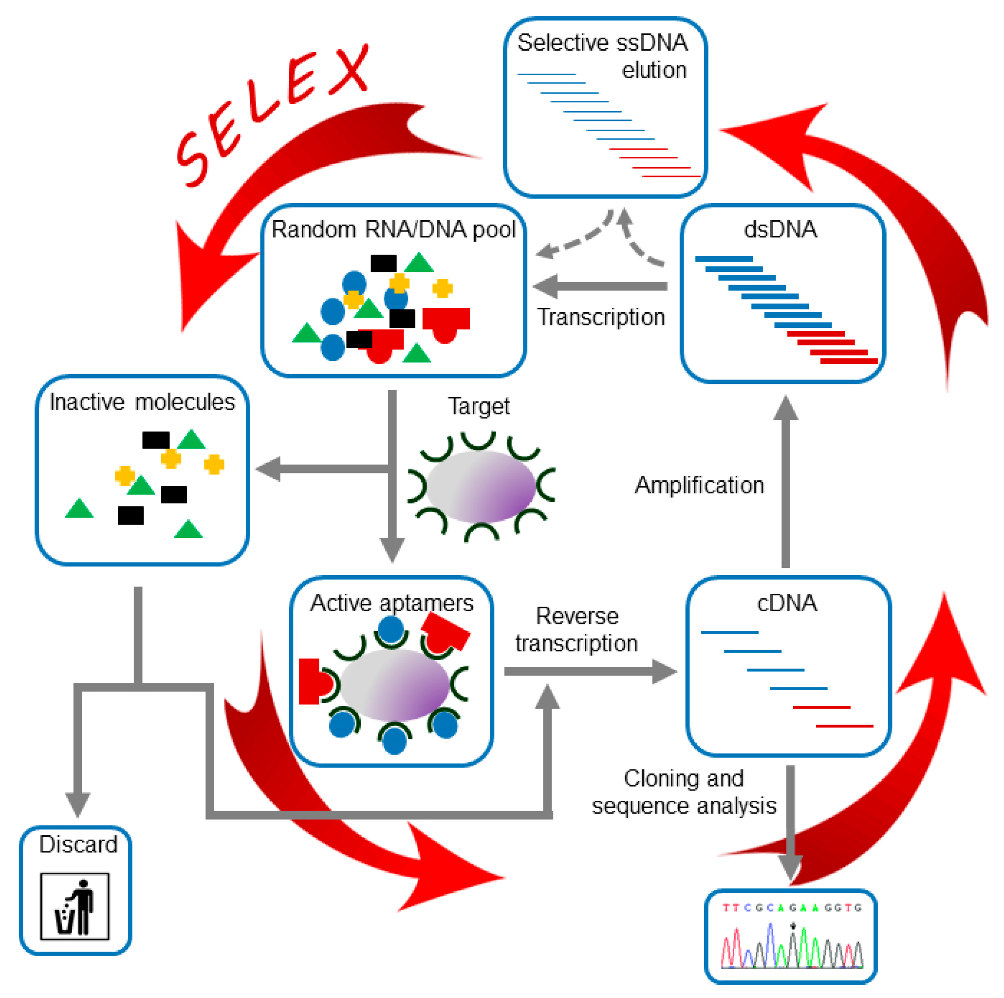 Pharmaceuticals 13 00157 g002 Pharmaceuticals 13 00157 g002