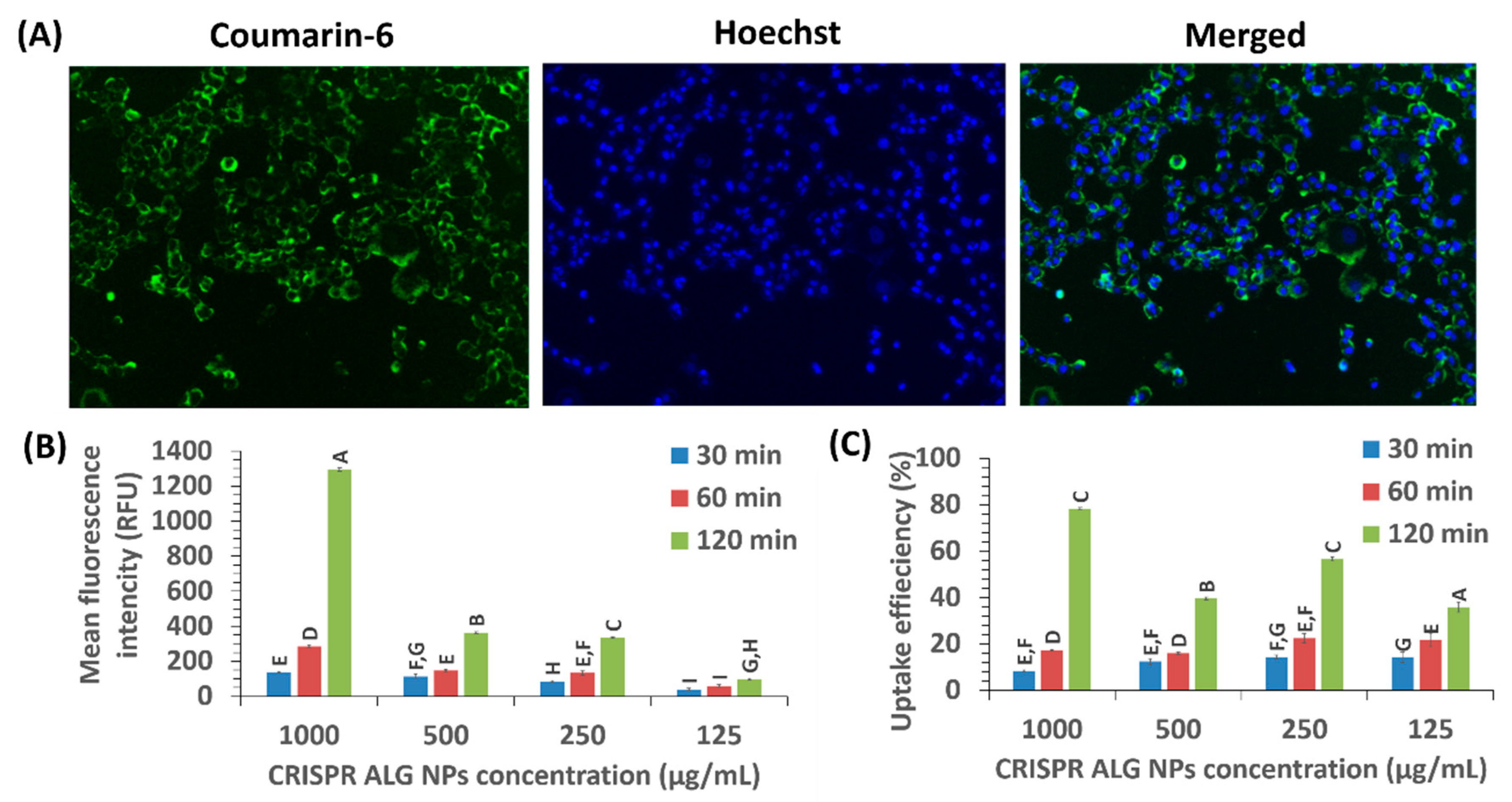 Pharmaceuticals 13 00158 g009 Pharmaceuticals 13 00158 g009