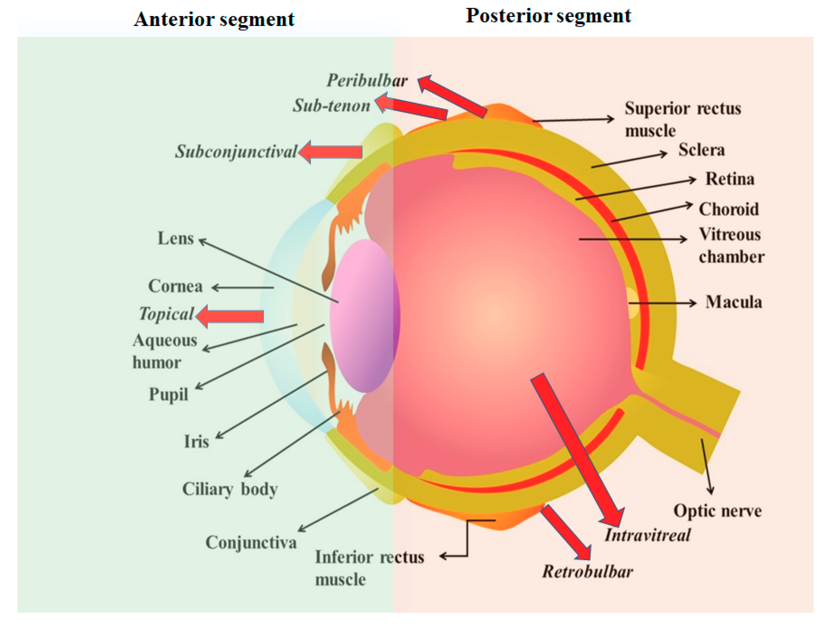Pharmaceuticals 13 00167 g001 Pharmaceuticals 13 00167 g001