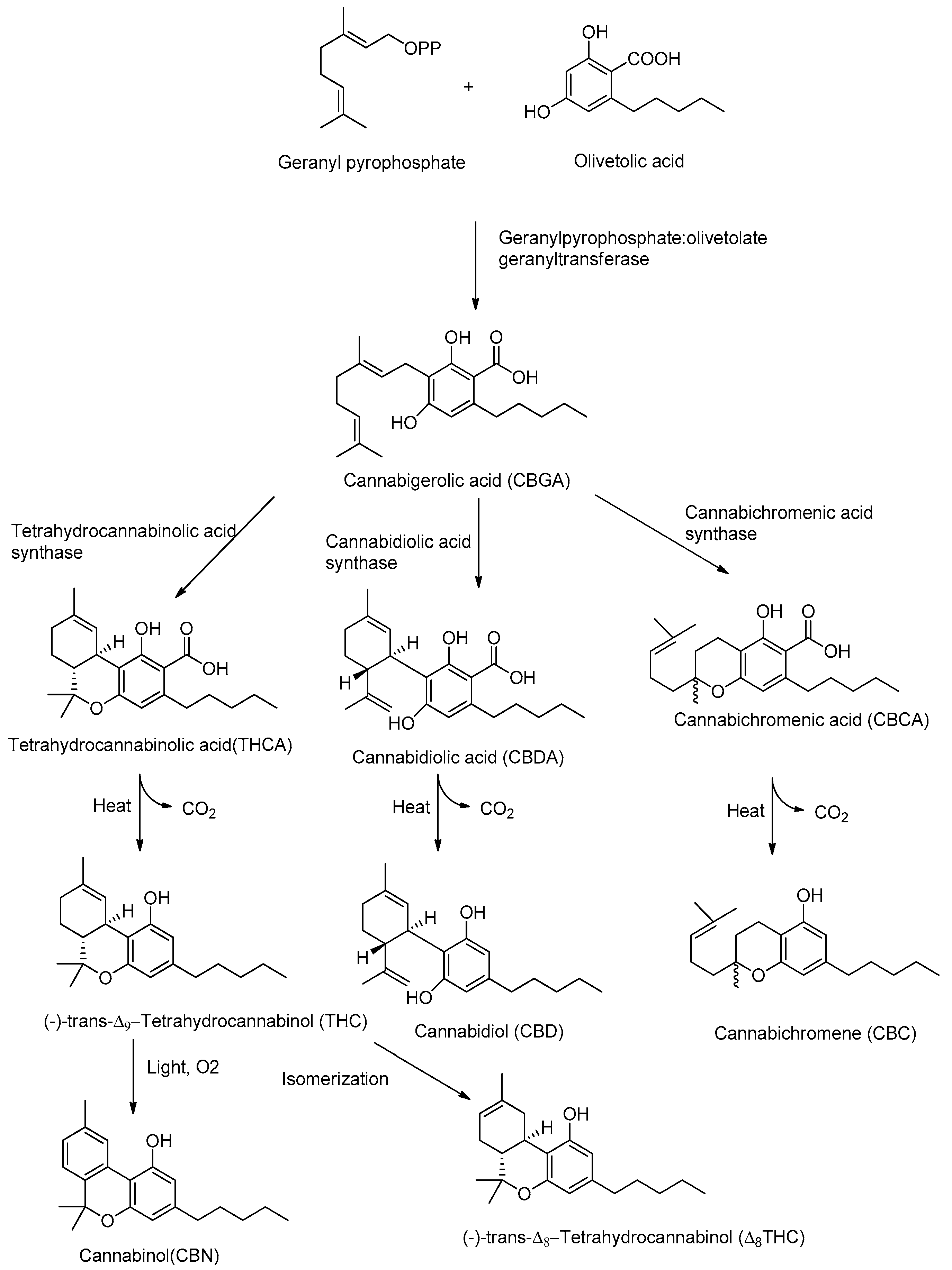 Pharmaceuticals 13 00174 g001
