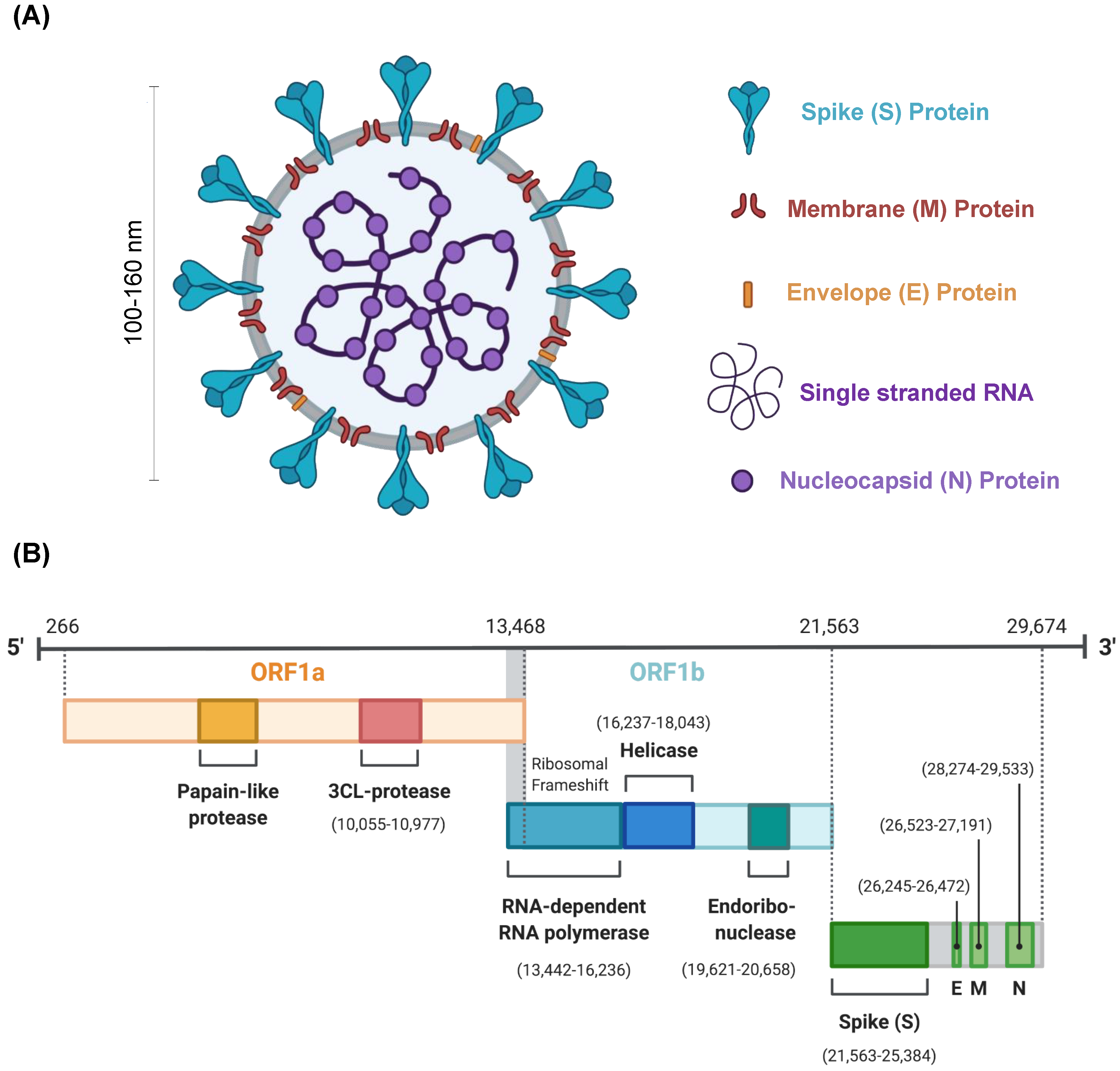 Pharmaceuticals 13 00188 g001 Pharmaceuticals 13 00188 g001