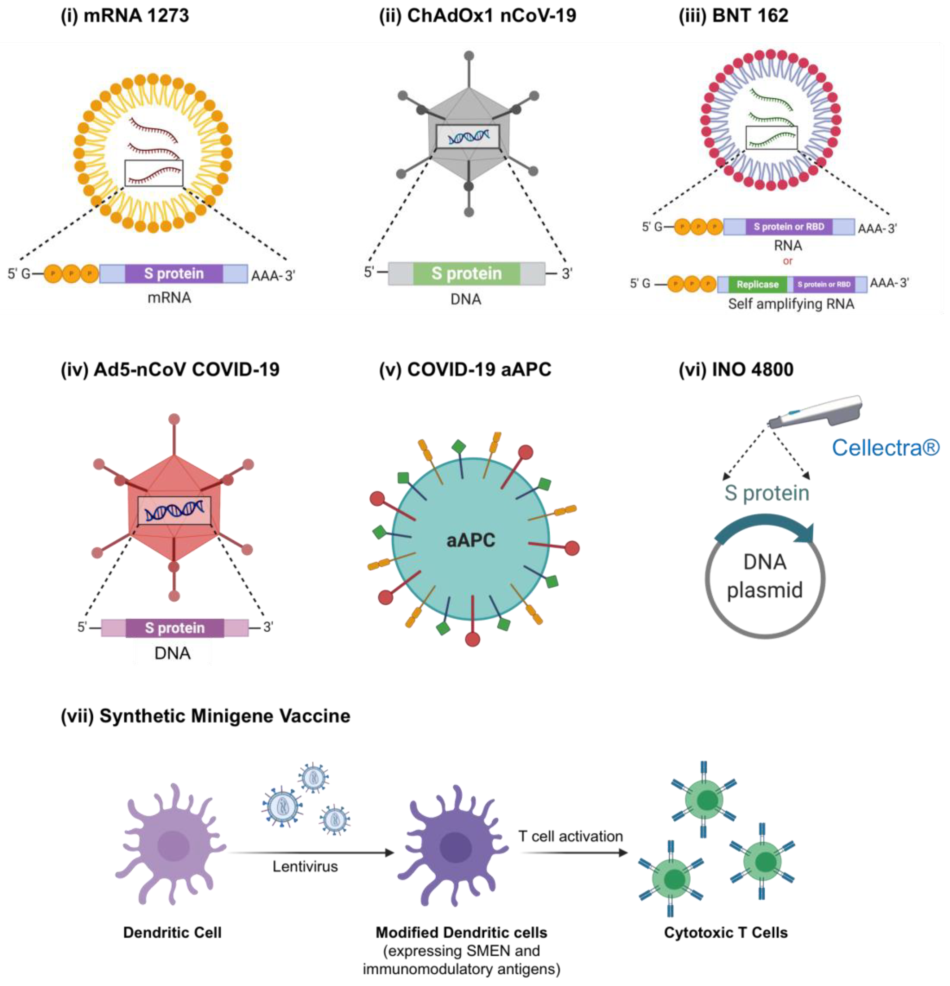 Pharmaceuticals 13 00188 g004 Pharmaceuticals 13 00188 g004