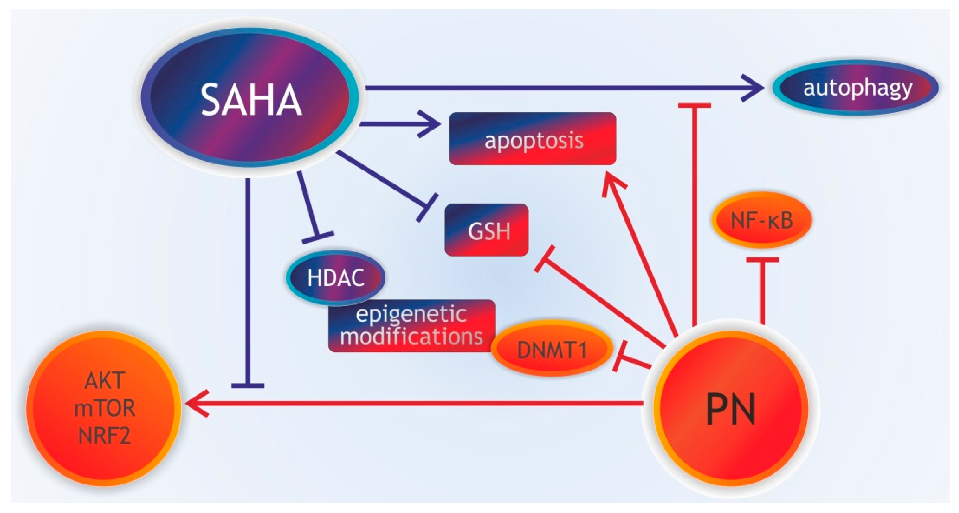 Pharmaceuticals 13 00194 g003 Pharmaceuticals 13 00194 g003