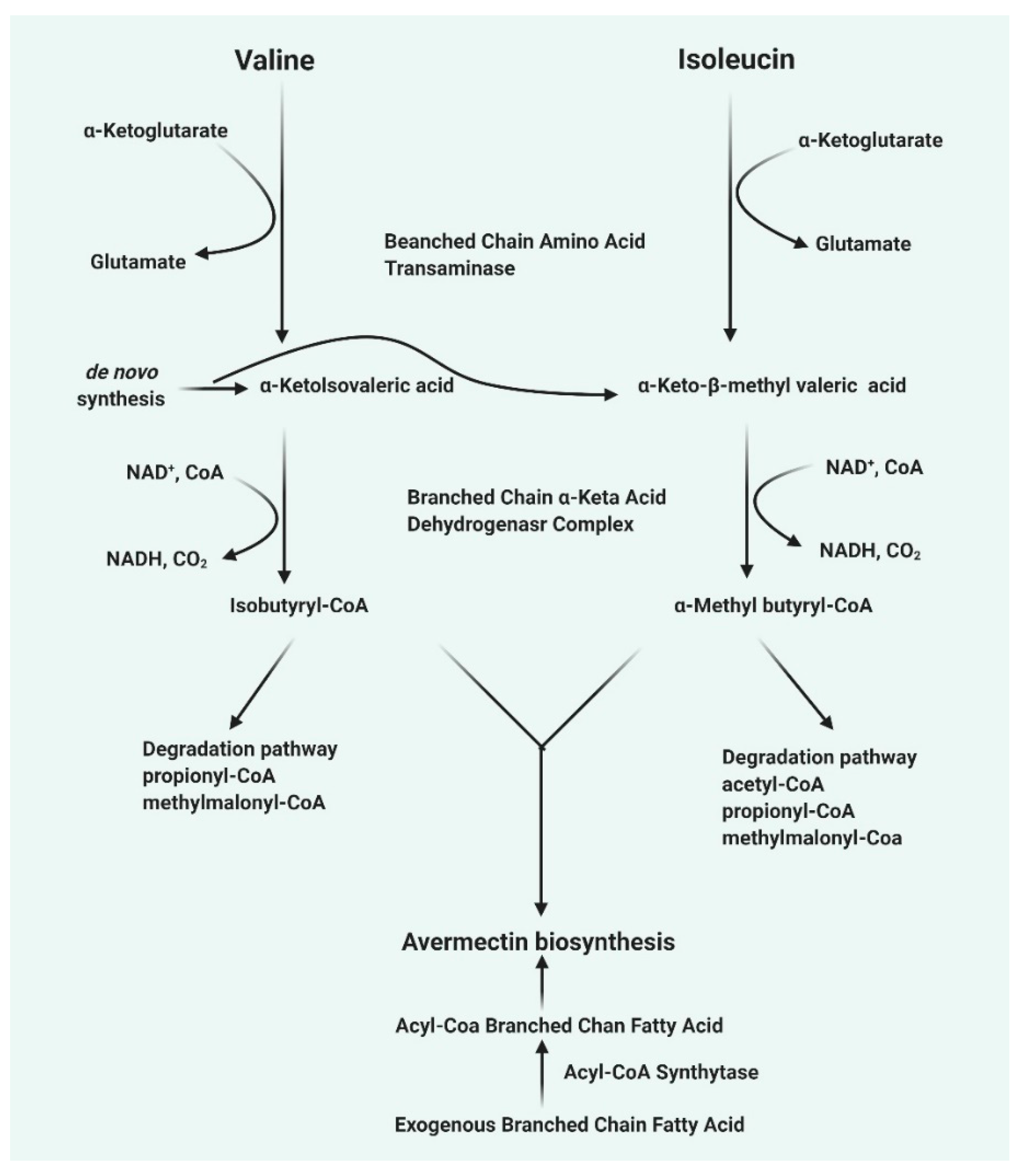 Pharmaceuticals 13 00196 g001 Pharmaceuticals 13 00196 g001
