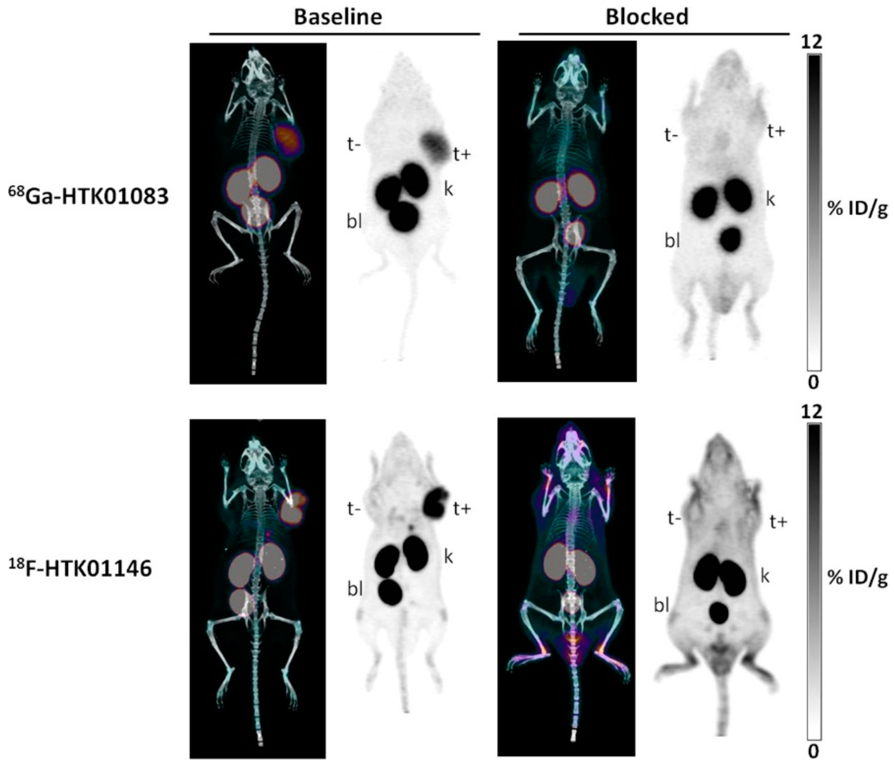 Pharmaceuticals 13 00199 g009