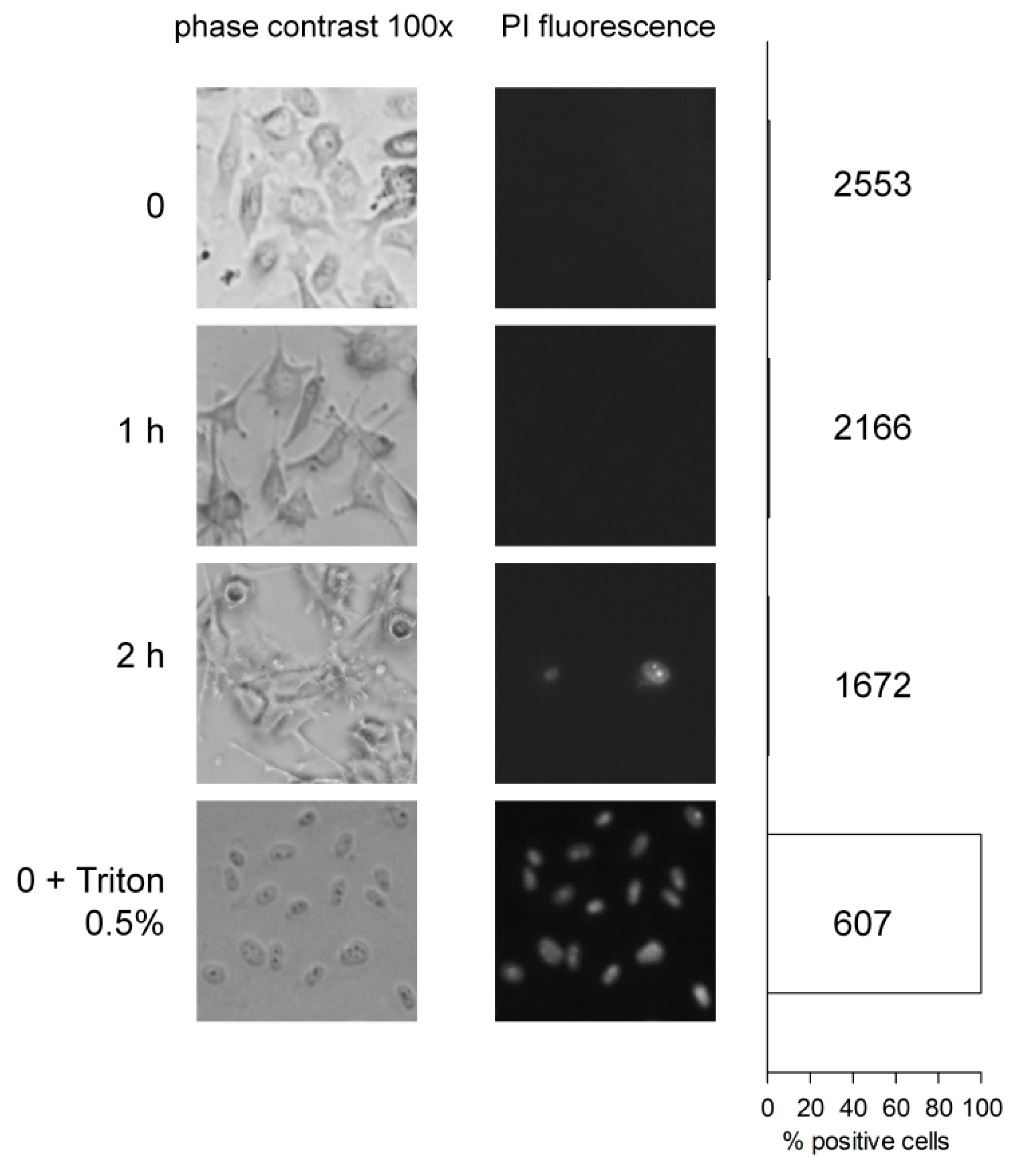 Pharmaceuticals 13 00201 g004 Pharmaceuticals 13 00201 g004