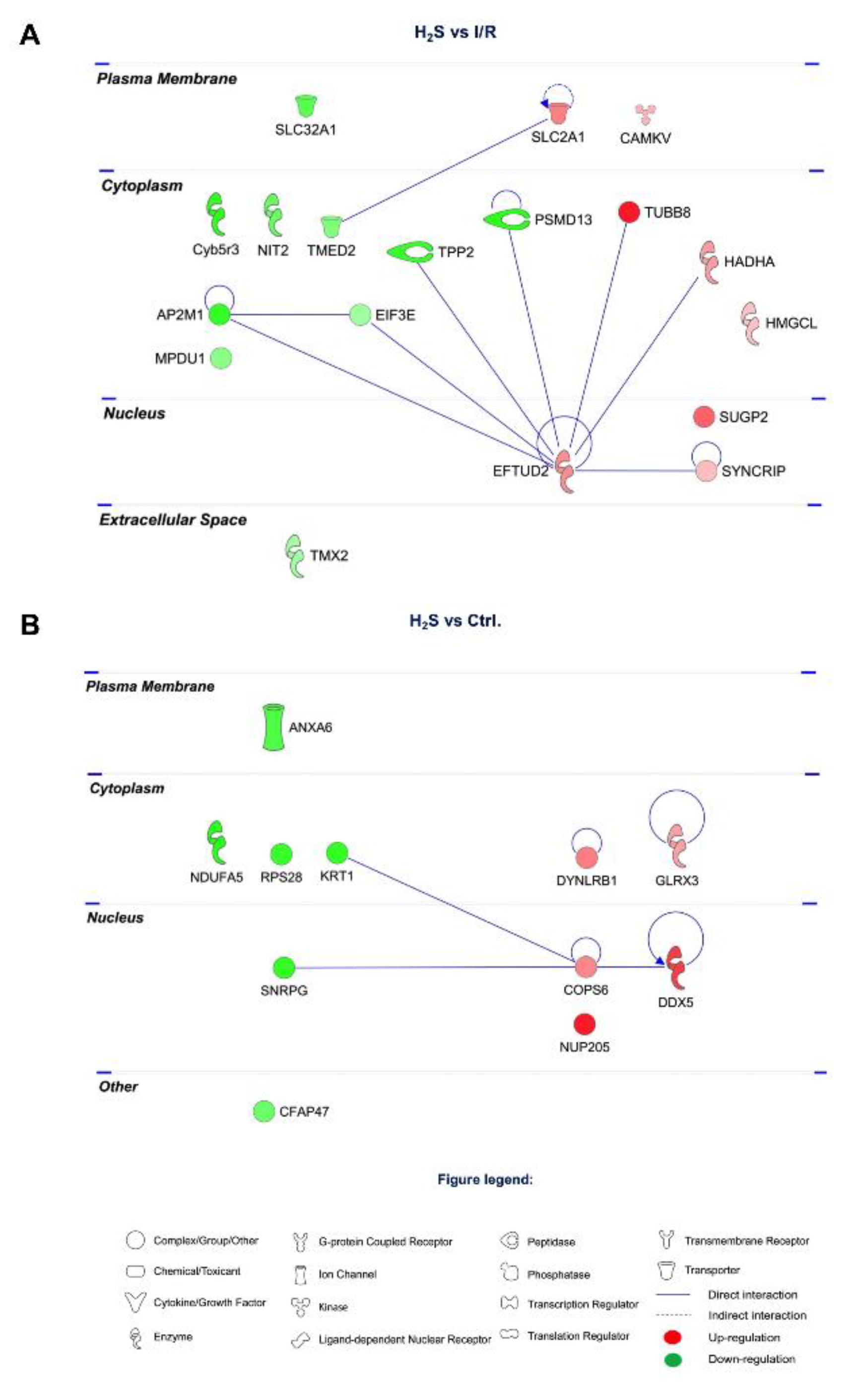 Pharmaceuticals 13 00213 g005 Pharmaceuticals 13 00213 g005