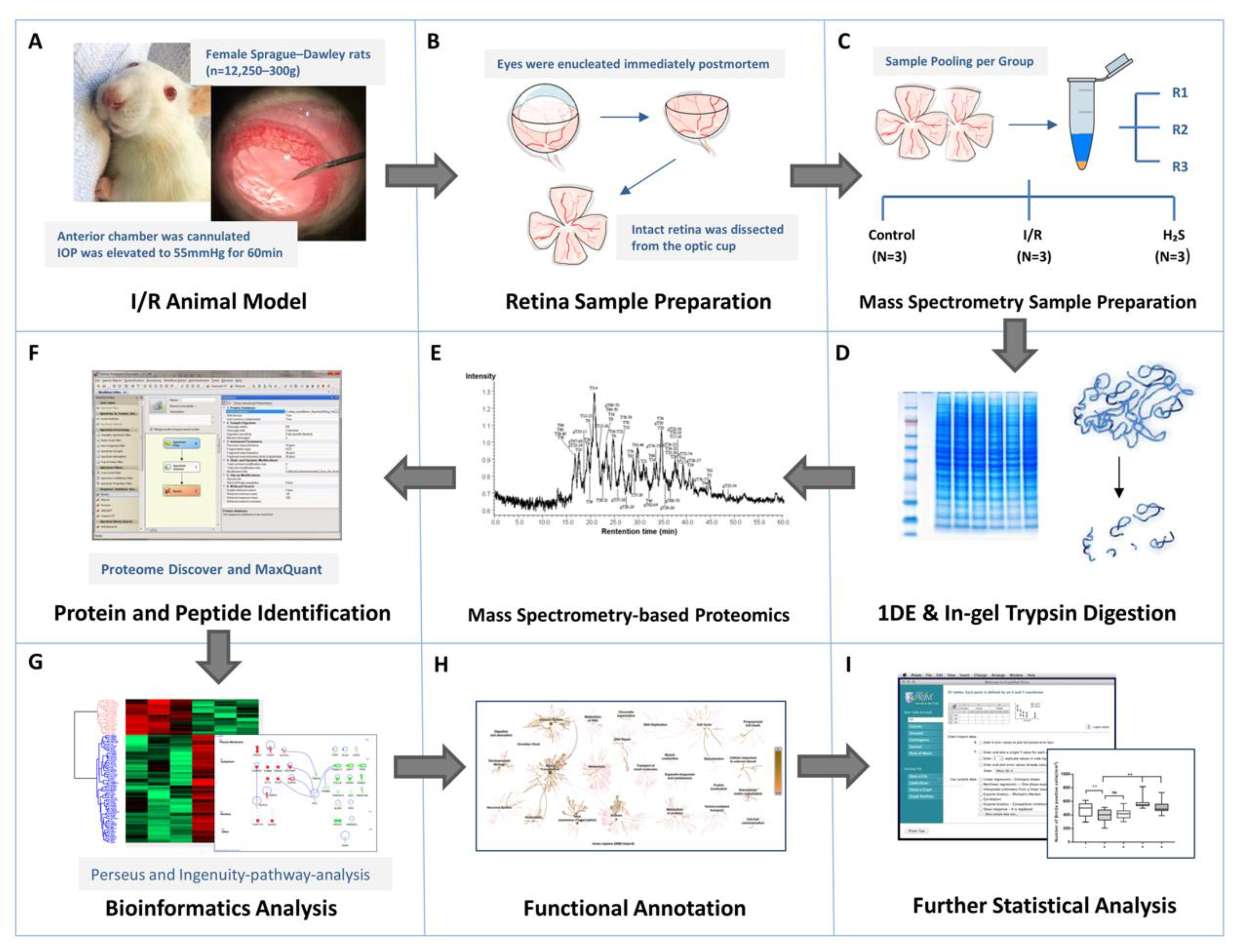 Pharmaceuticals 13 00213 g008 Pharmaceuticals 13 00213 g008