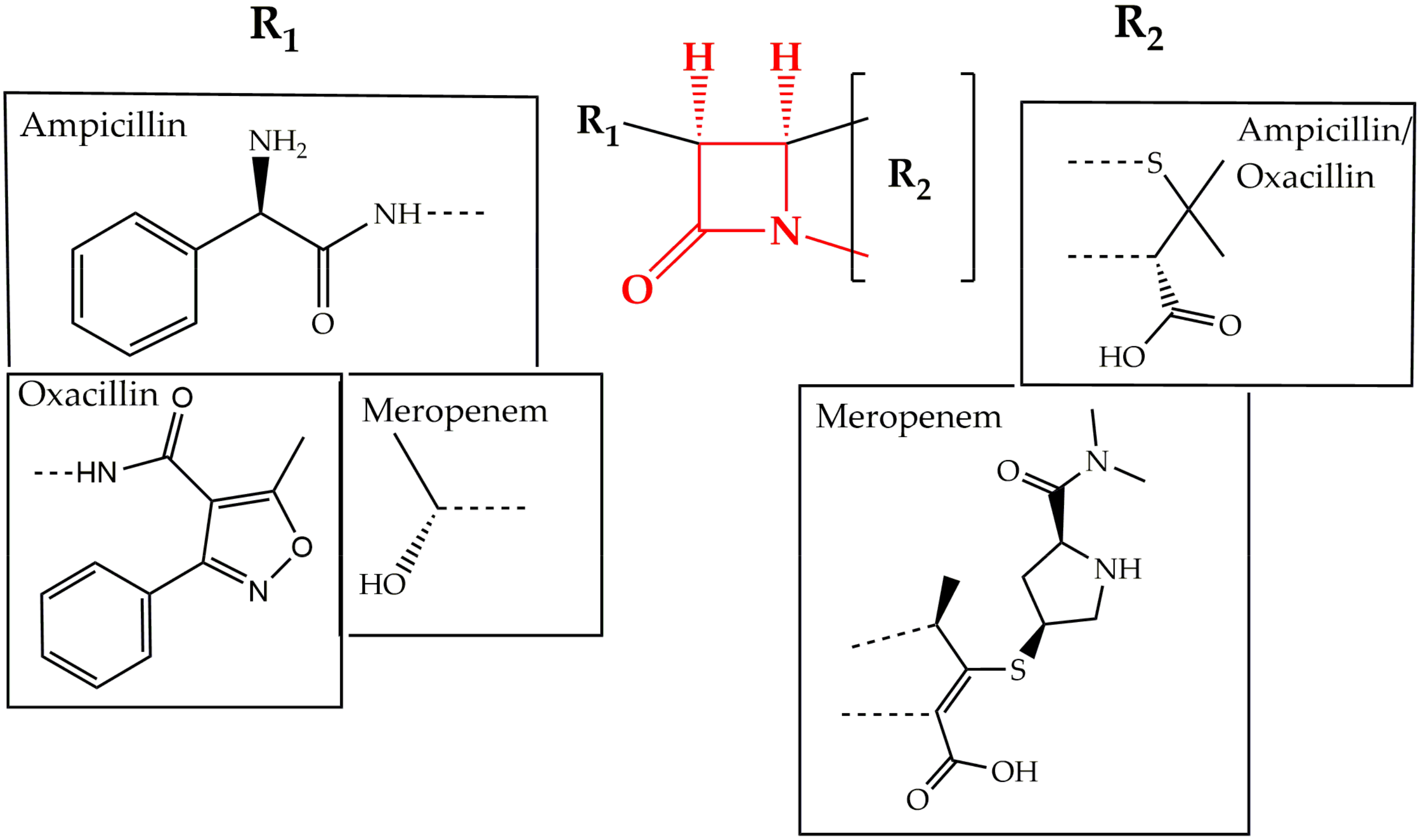 Pharmaceuticals 13 00214 g002 Pharmaceuticals 13 00214 g002
