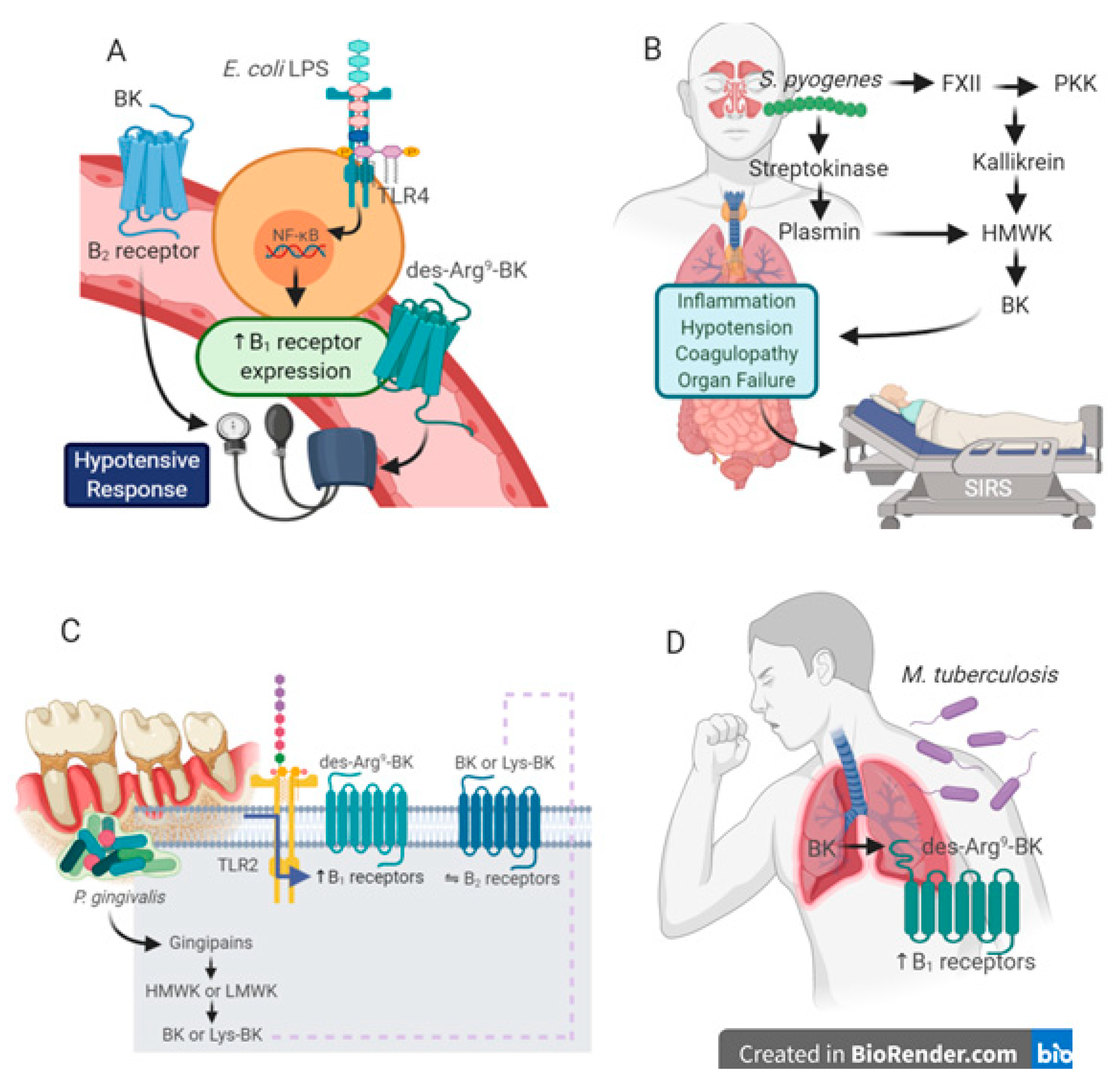 Pharmaceuticals 13 00215 g001 Pharmaceuticals 13 00215 g001