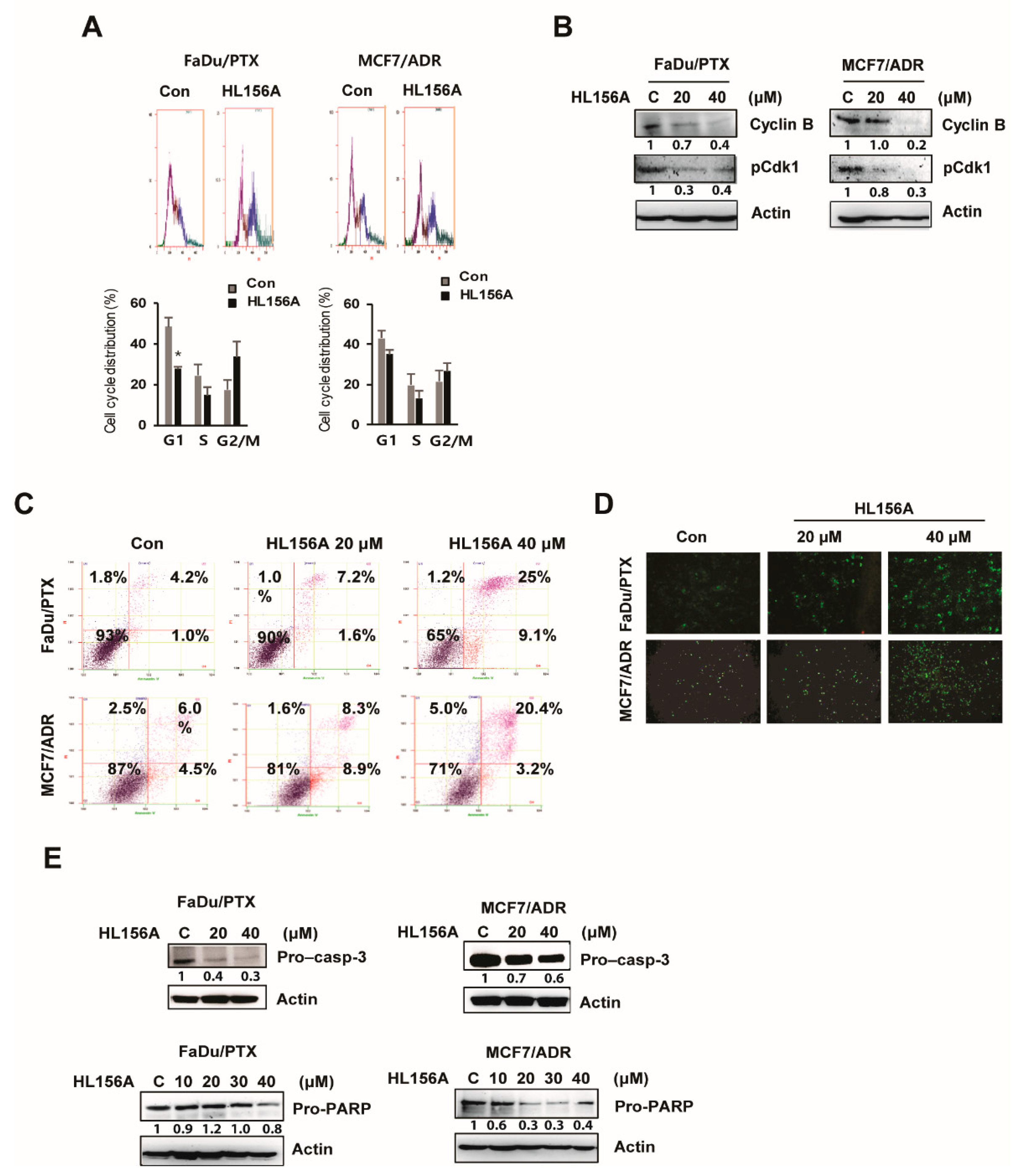 Pharmaceuticals 13 00218 g002
