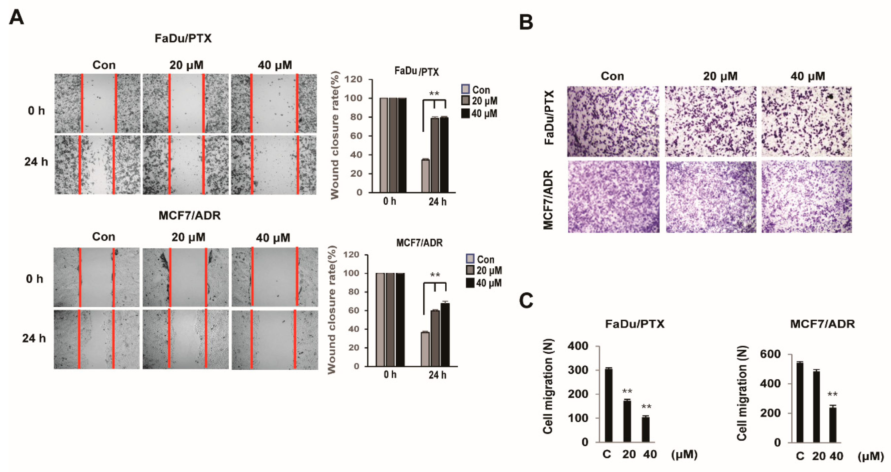 Pharmaceuticals 13 00218 g003