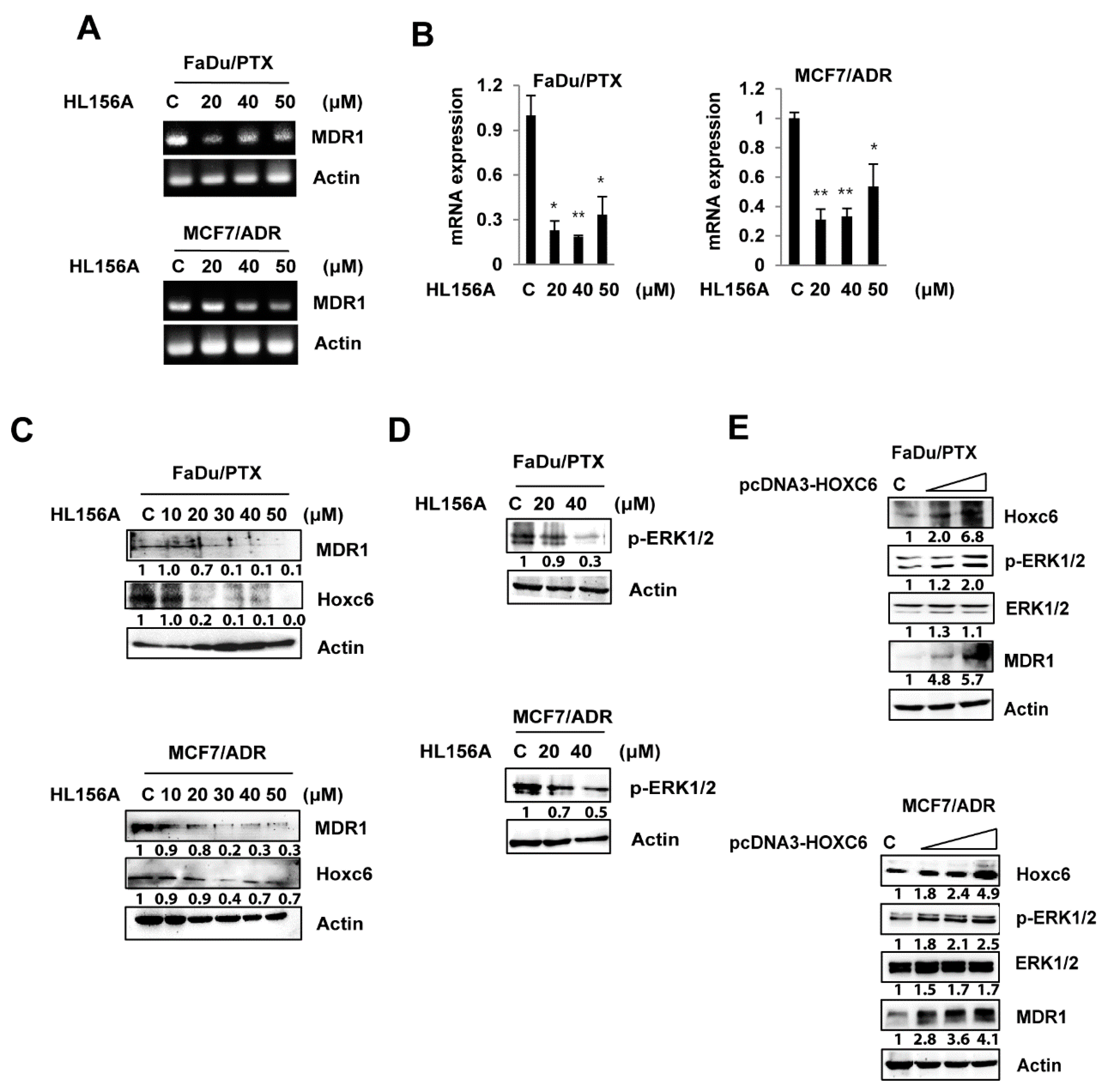 Pharmaceuticals 13 00218 g004