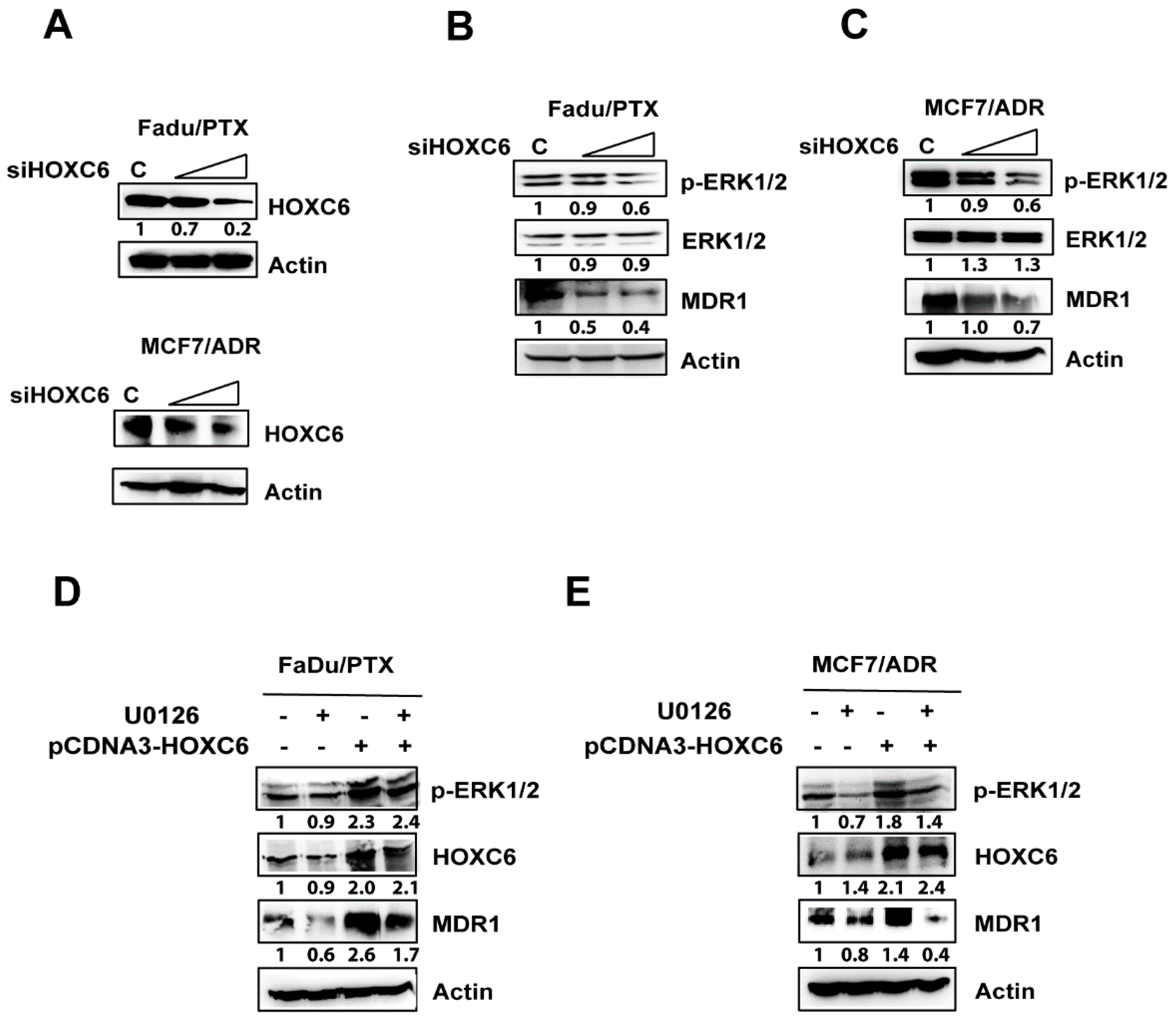 Pharmaceuticals 13 00218 g005