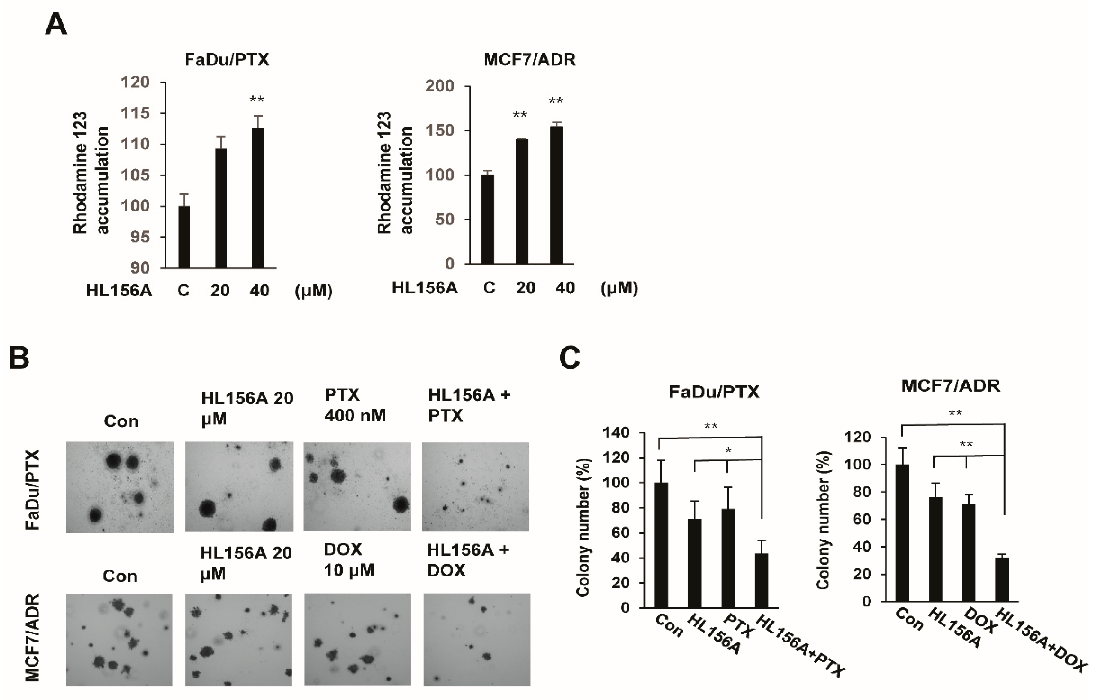 Pharmaceuticals 13 00218 g006