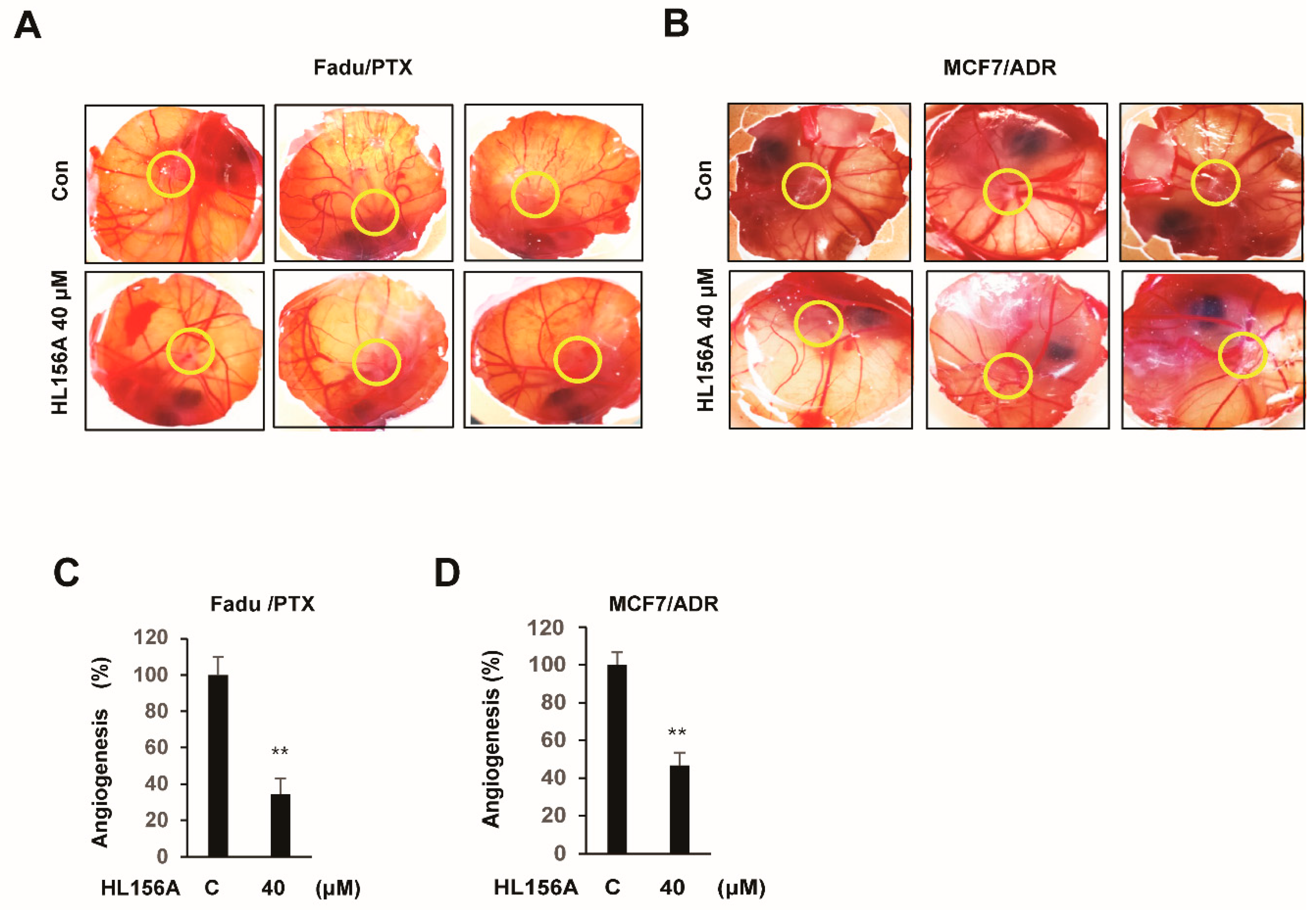 Pharmaceuticals 13 00218 g007