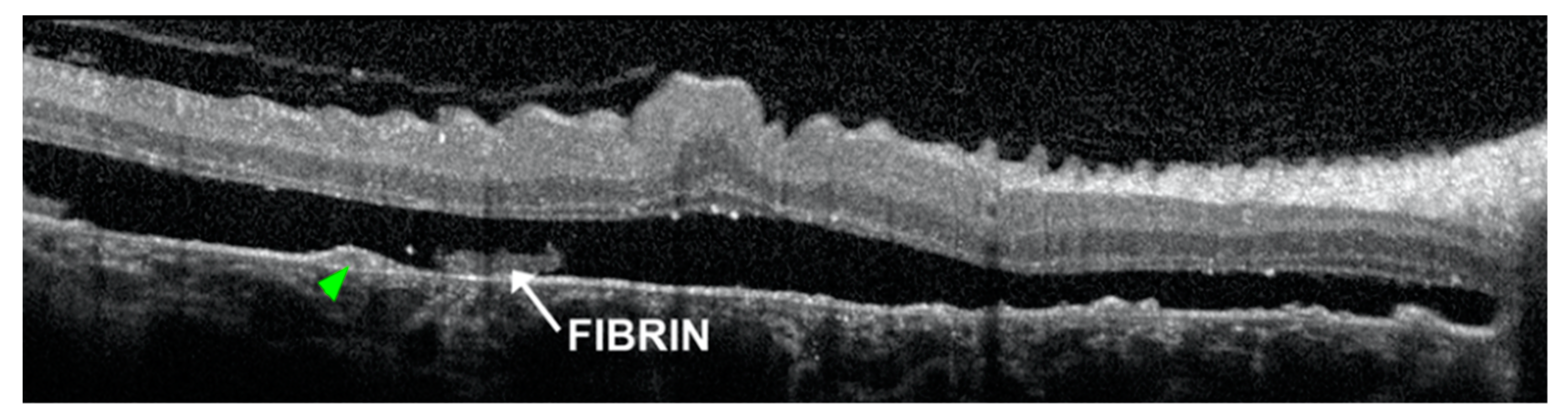 Pharmaceuticals 13 00221 g002