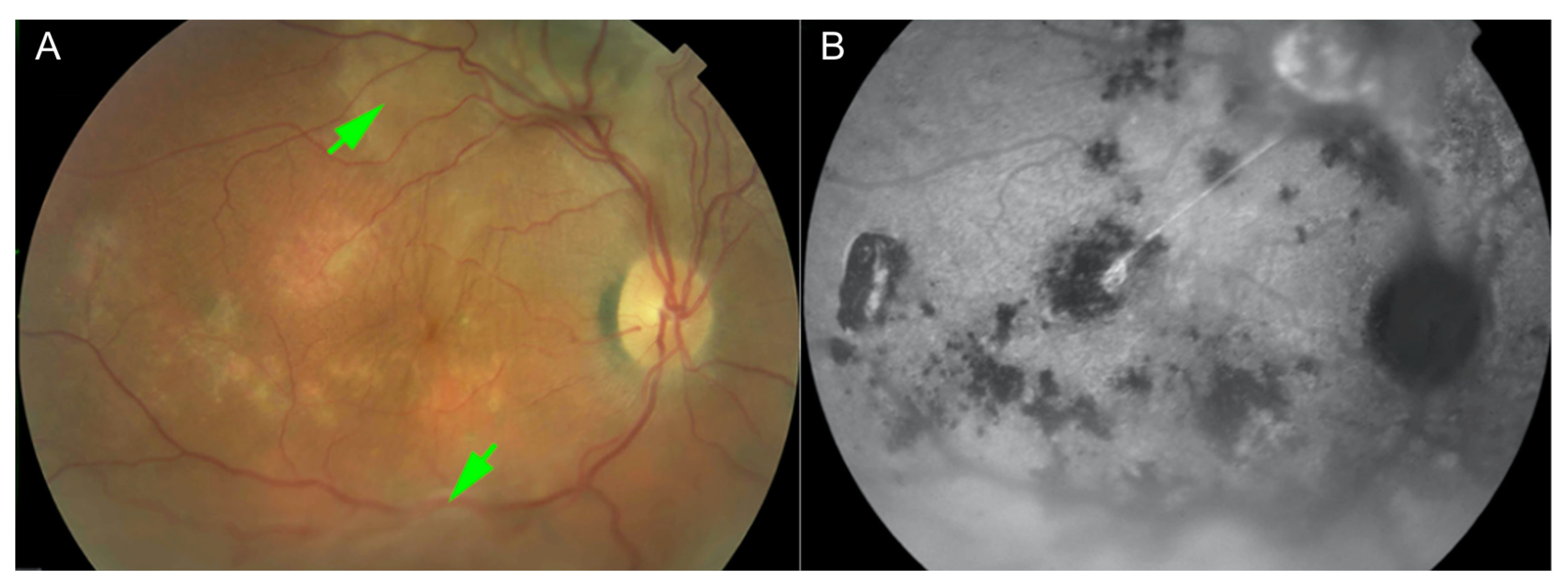 Pharmaceuticals 13 00221 g003