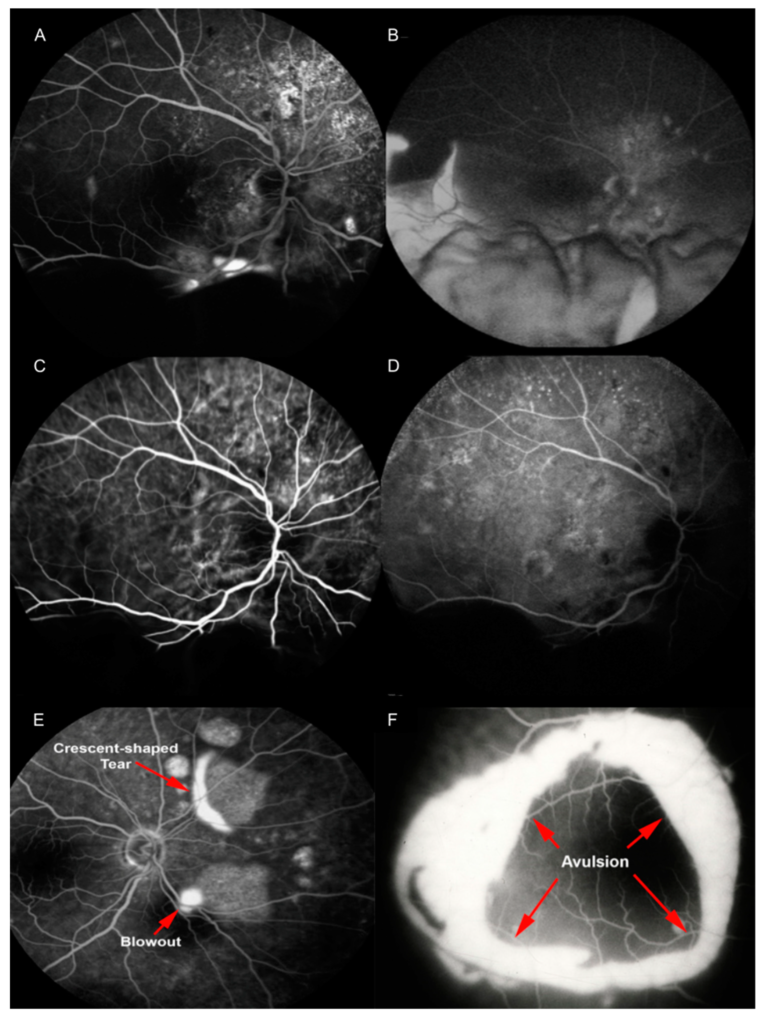 Pharmaceuticals 13 00221 g004