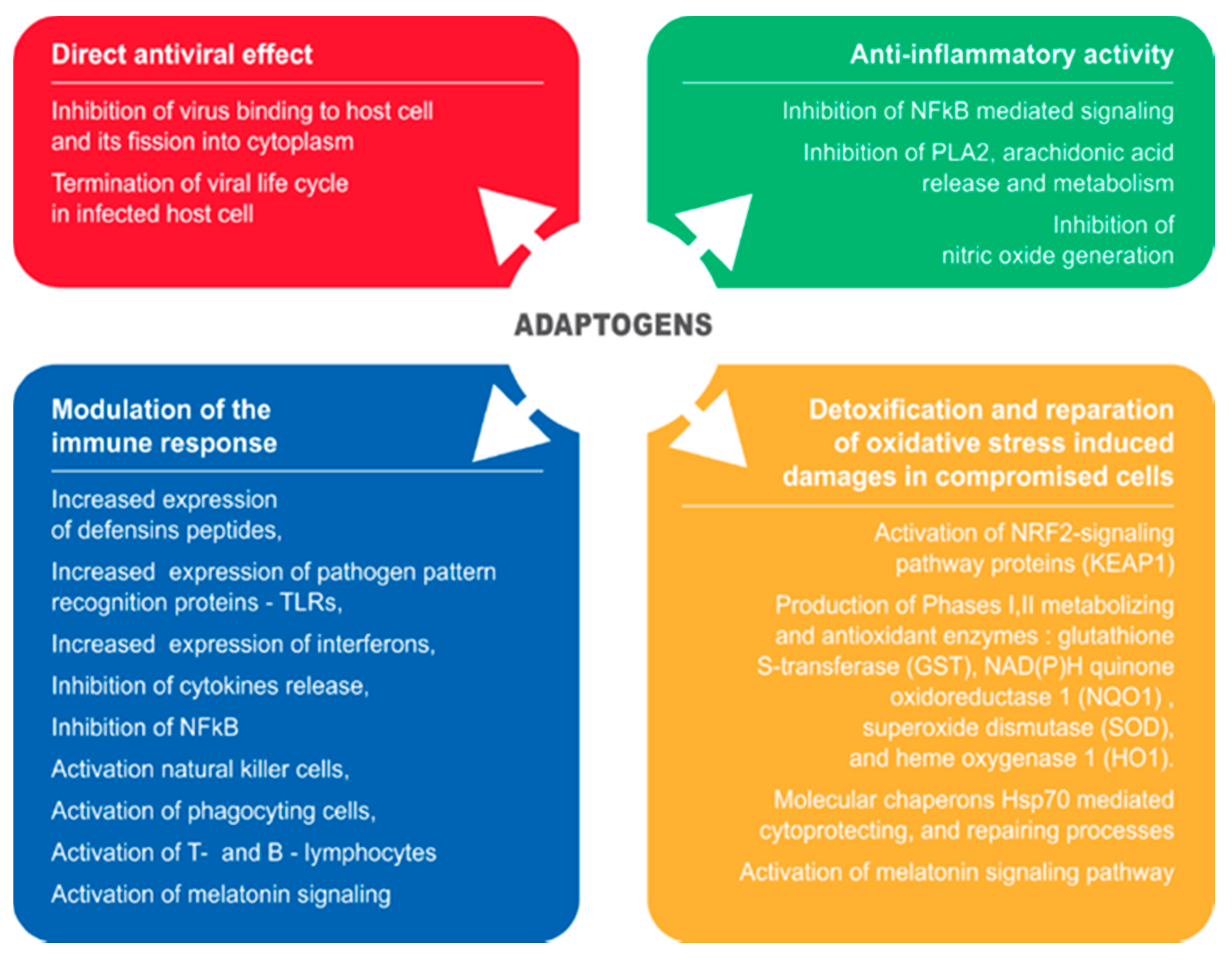 Detox & Decongestion Acupressure Point Lv 3 